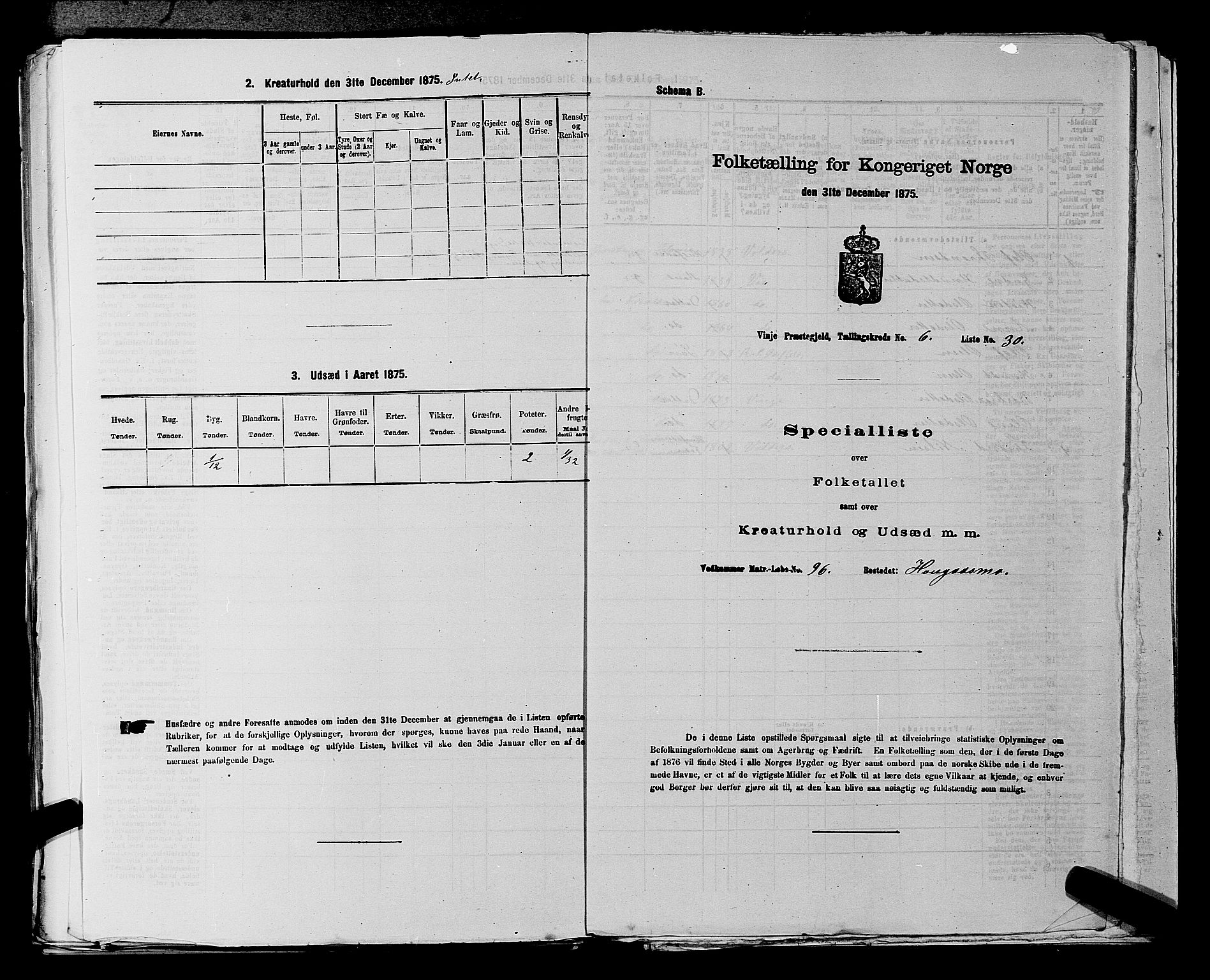 SAKO, 1875 census for 0834P Vinje, 1875, p. 488