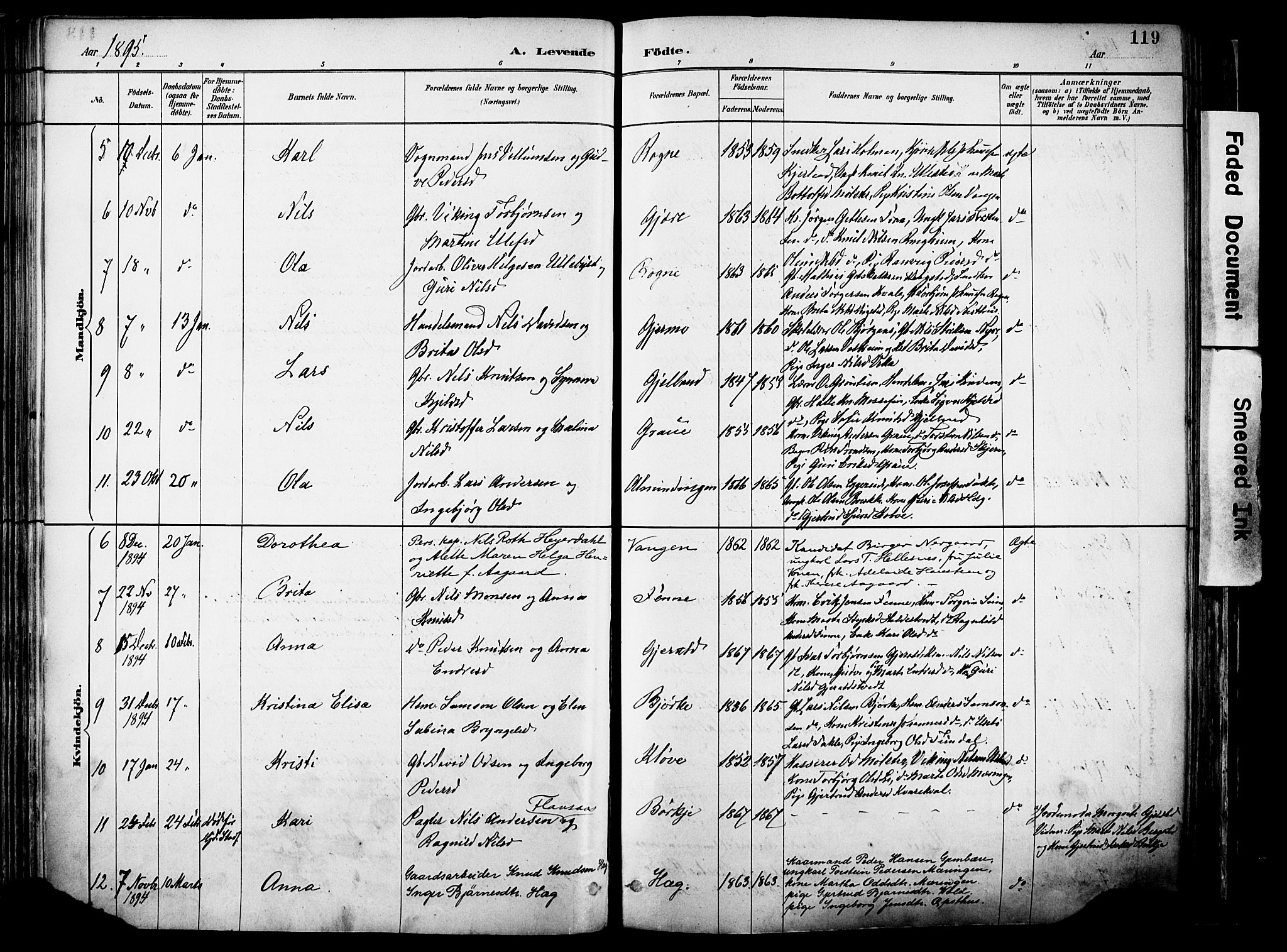 Voss sokneprestembete, SAB/A-79001/H/Haa: Parish register (official) no. A 21, 1887-1903, p. 119