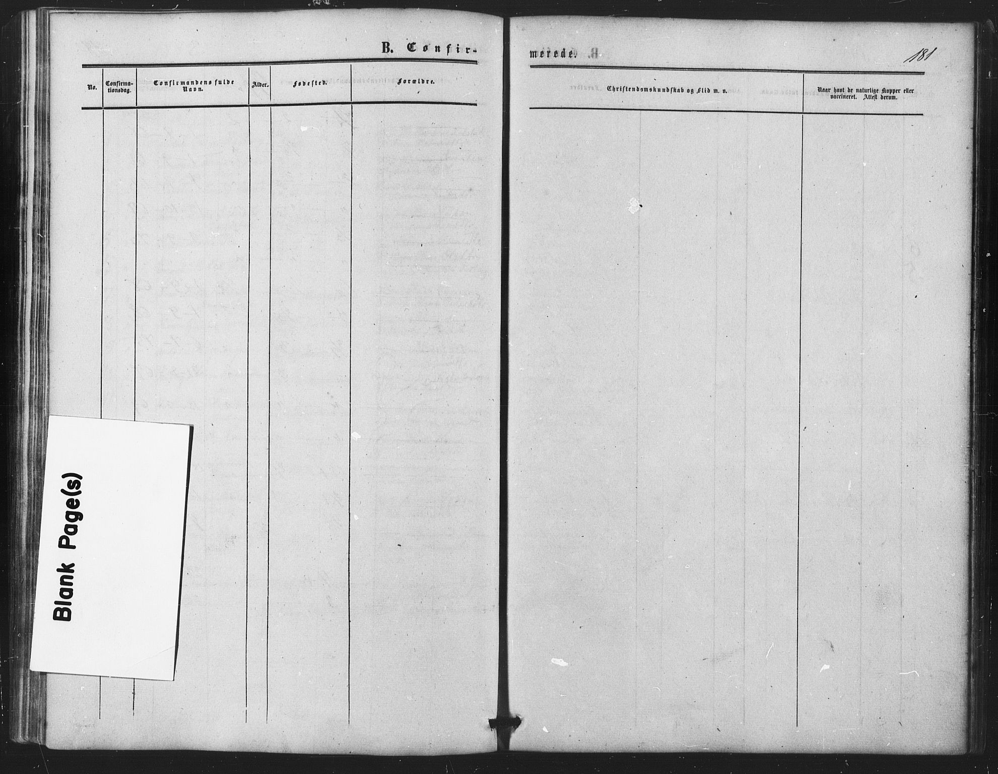 Nes prestekontor Kirkebøker, SAO/A-10410/F/Fb/L0001: Parish register (official) no. II 1, 1859-1882, p. 181
