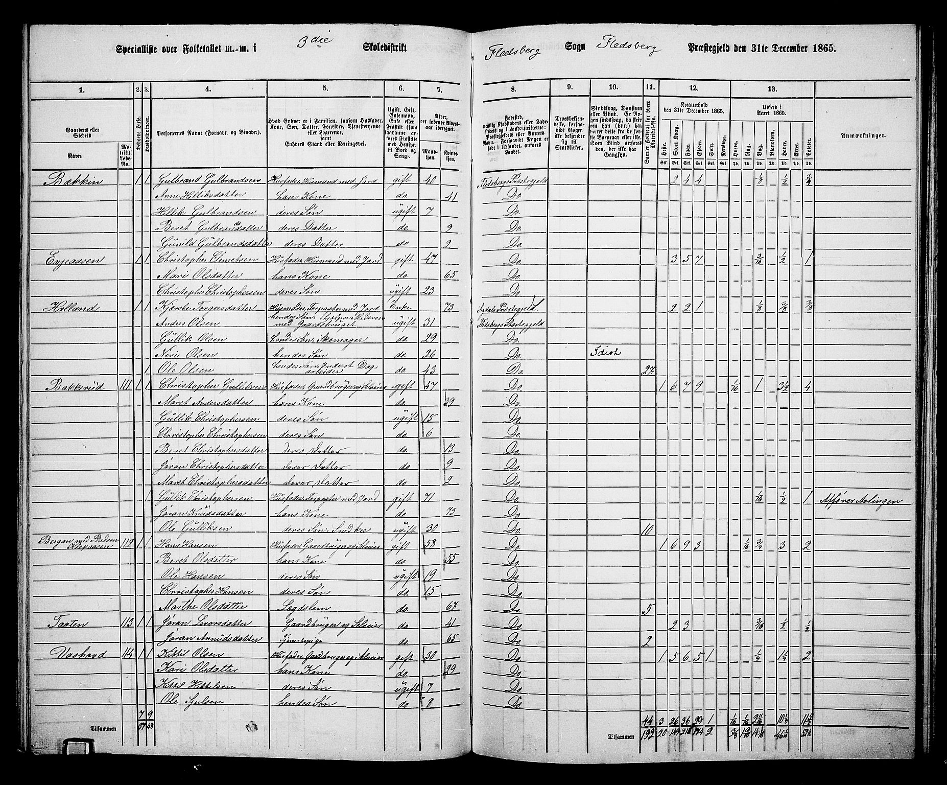 RA, 1865 census for Flesberg, 1865, p. 70