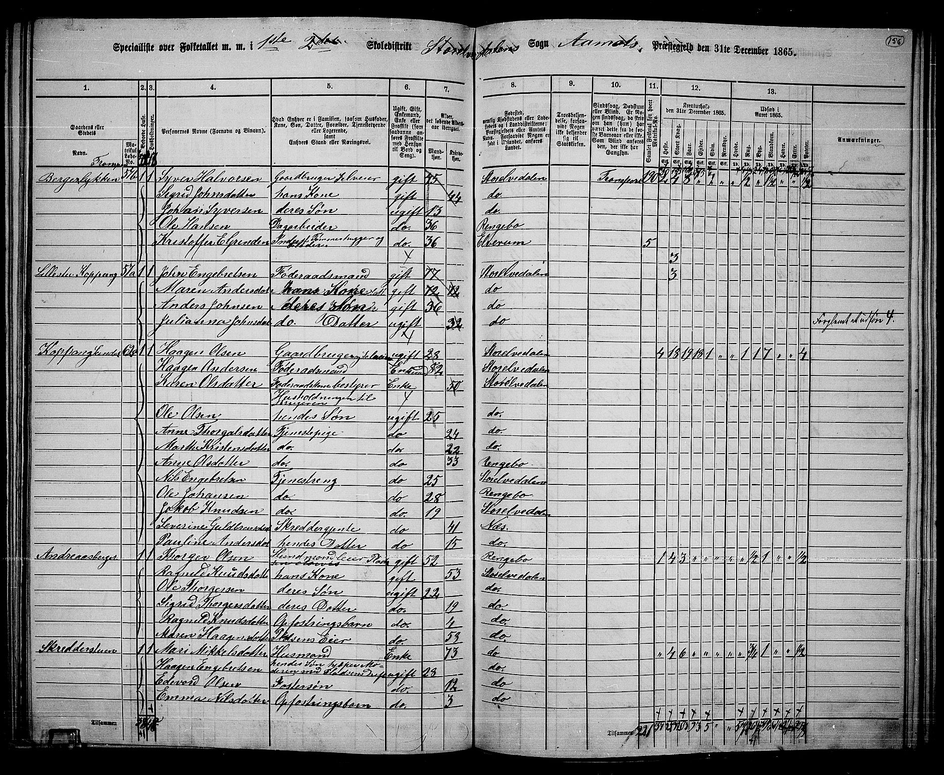 RA, 1865 census for Åmot, 1865, p. 135