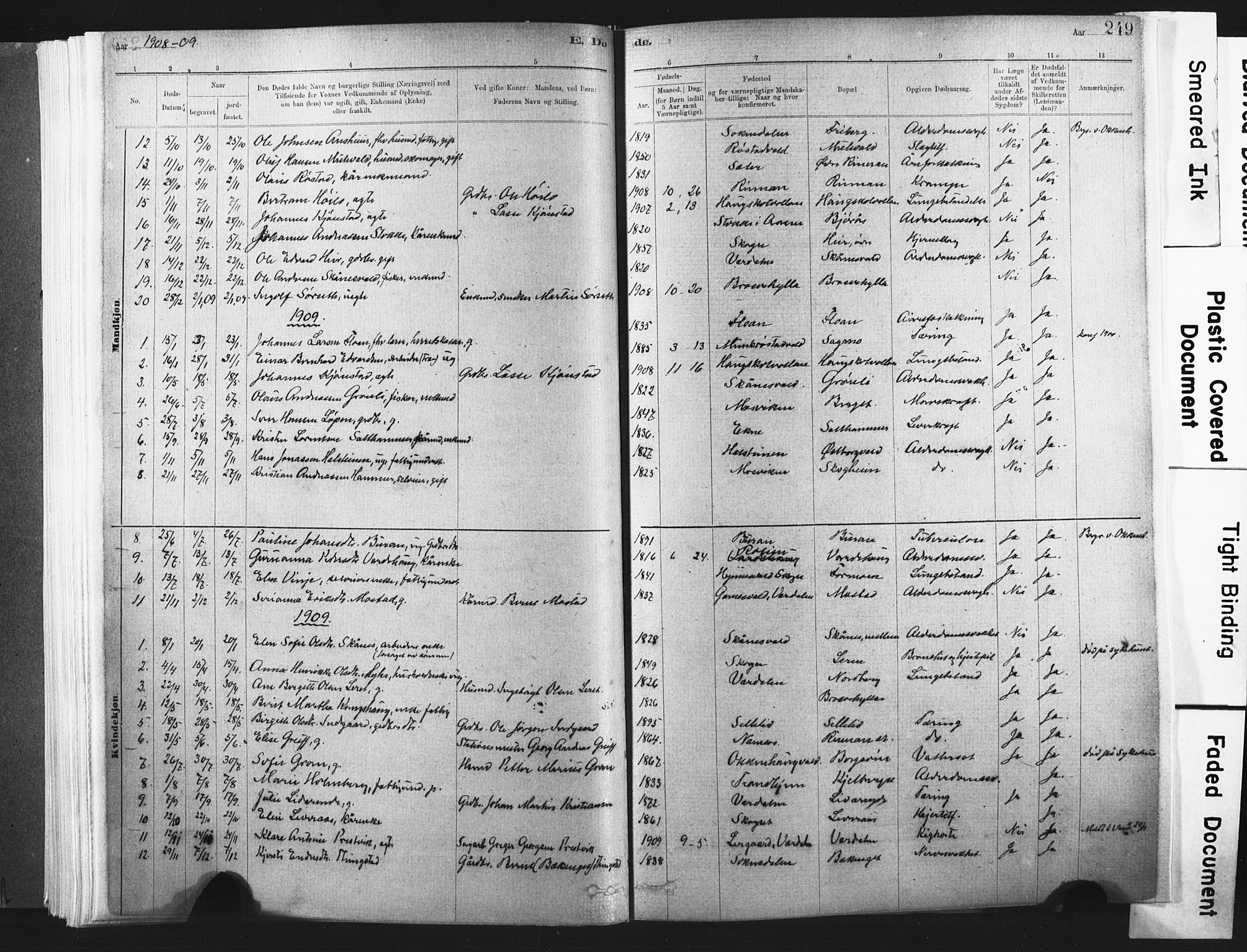 Ministerialprotokoller, klokkerbøker og fødselsregistre - Nord-Trøndelag, SAT/A-1458/721/L0207: Parish register (official) no. 721A02, 1880-1911, p. 249