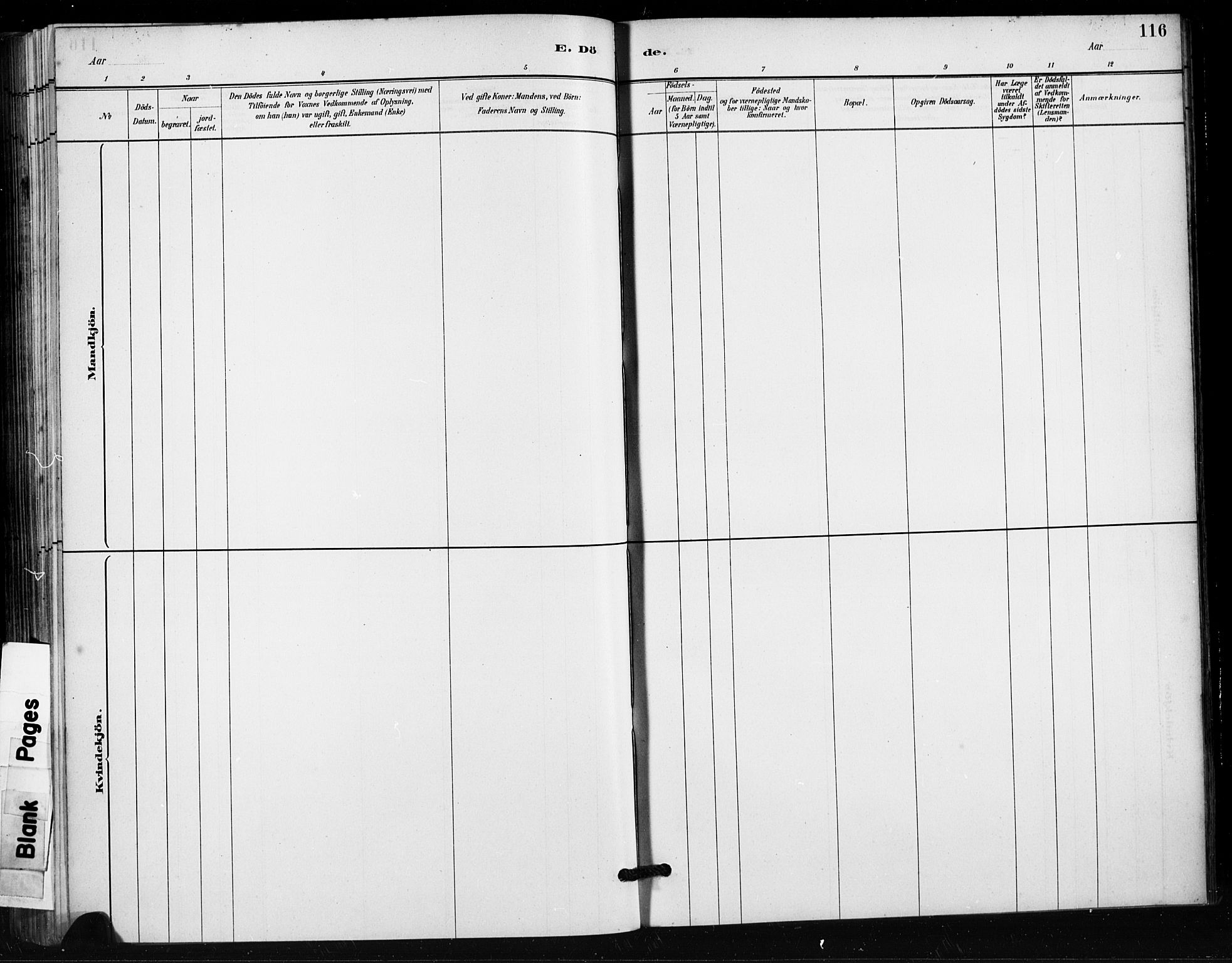 Håland sokneprestkontor, AV/SAST-A-101802/001/30BA/L0011: Parish register (official) no. A 10, 1883-1900, p. 116