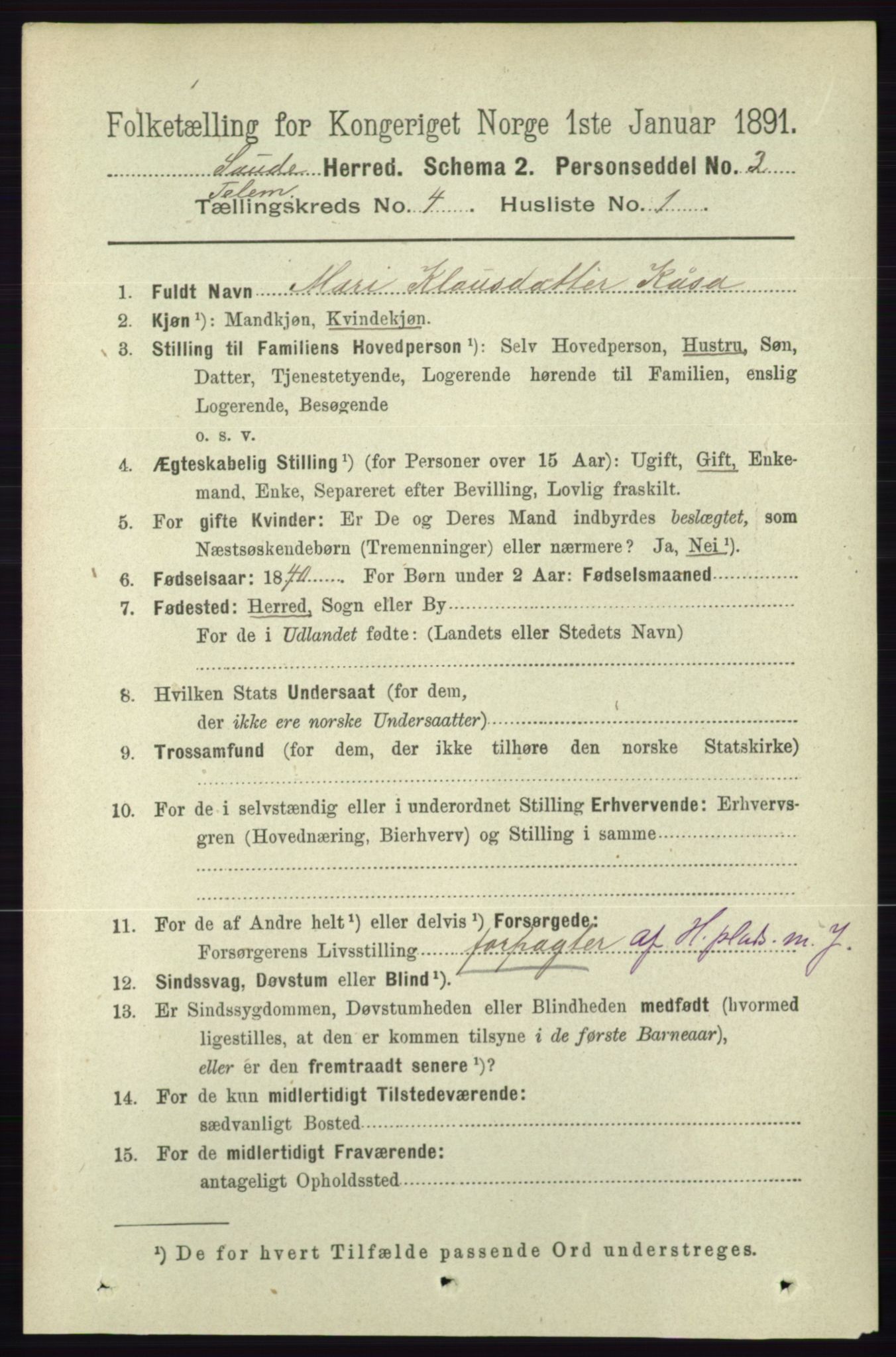 RA, 1891 census for 0822 Sauherad, 1891, p. 1099