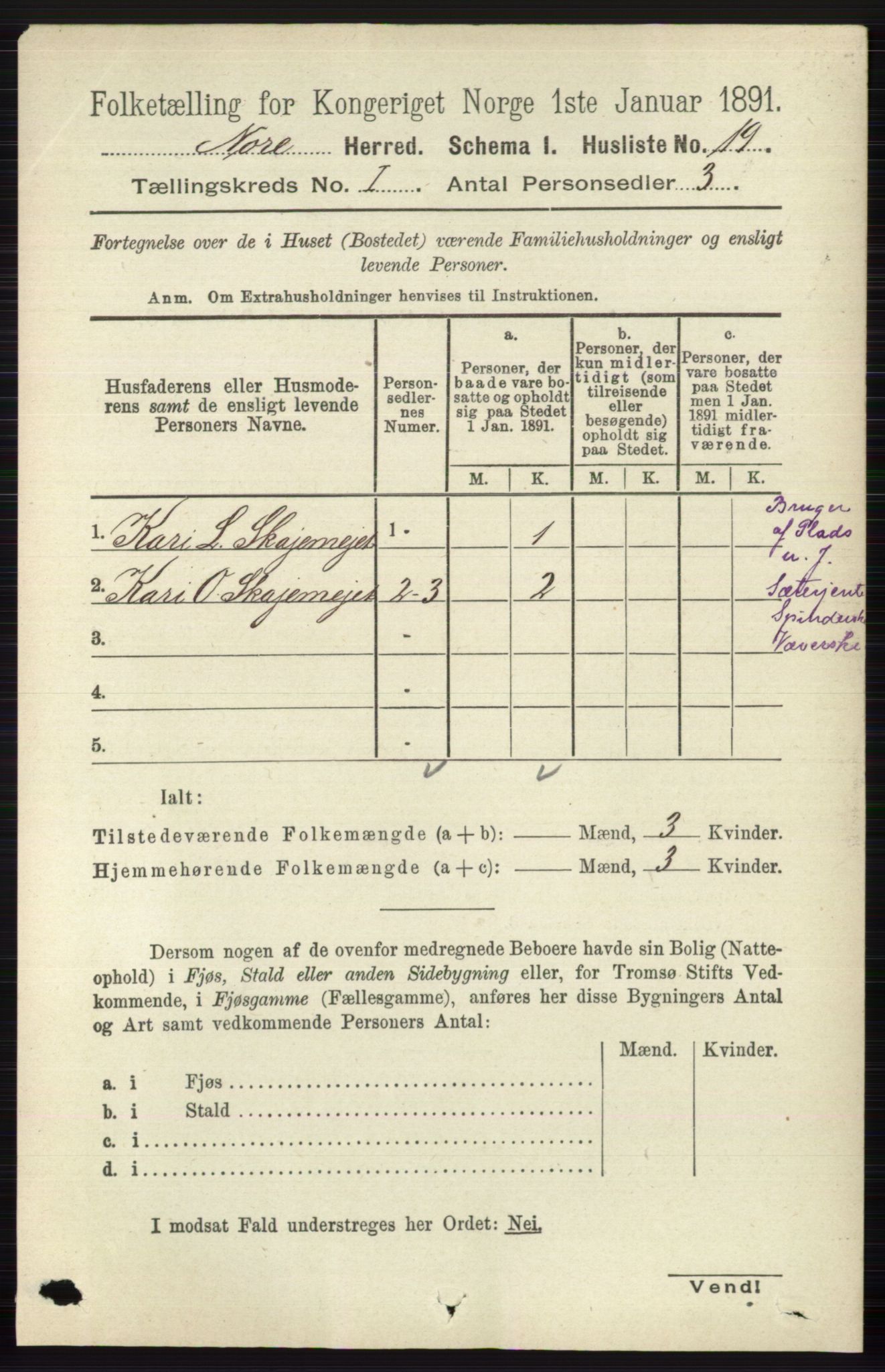 RA, 1891 census for 0633 Nore, 1891, p. 55