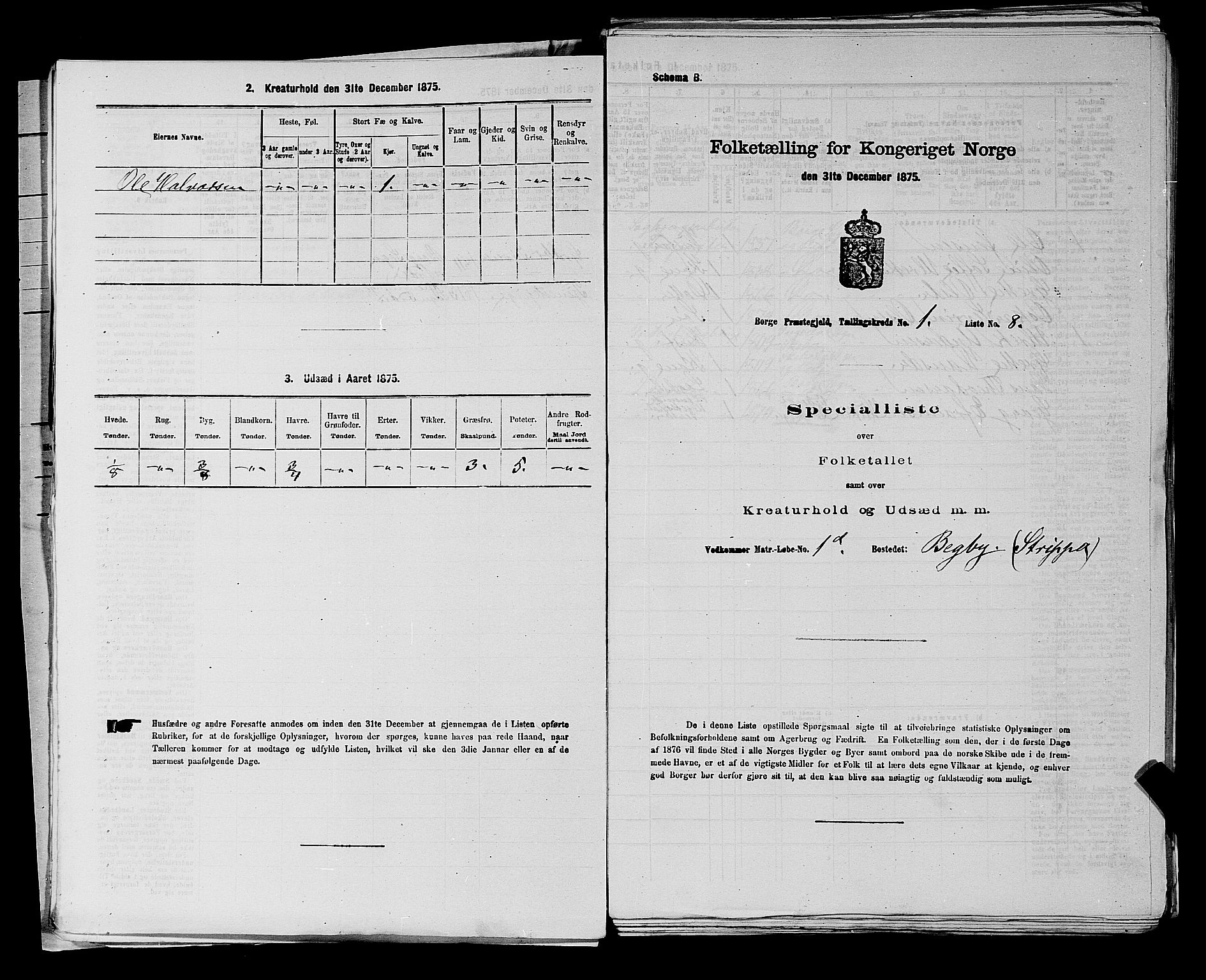 RA, 1875 census for 0113P Borge, 1875, p. 41