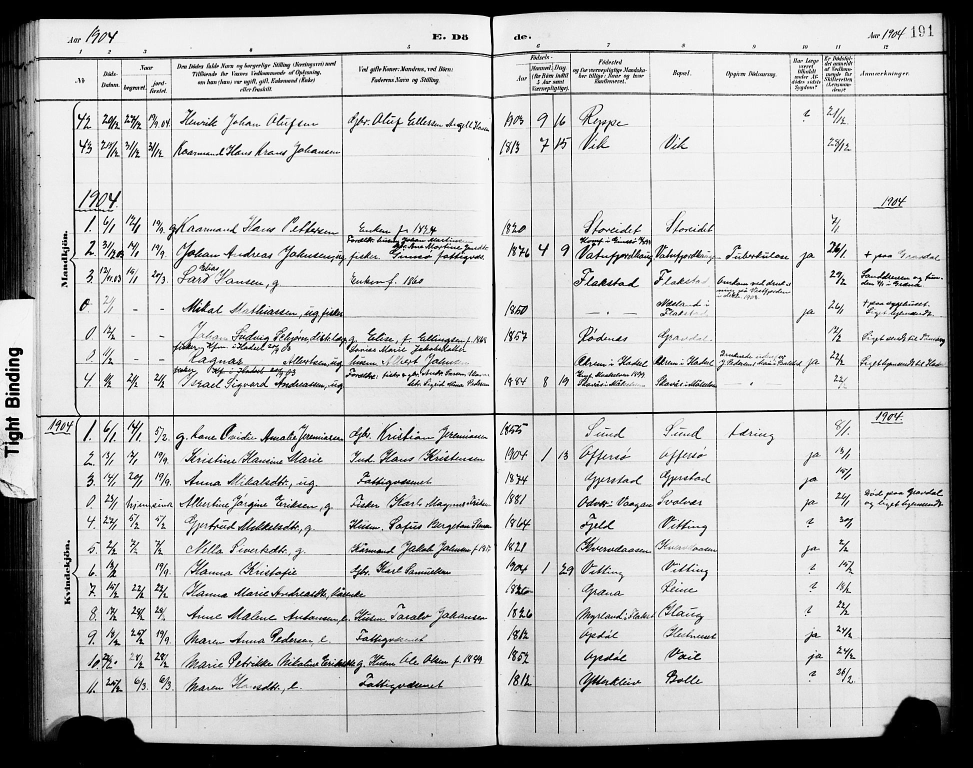 Ministerialprotokoller, klokkerbøker og fødselsregistre - Nordland, AV/SAT-A-1459/881/L1168: Parish register (copy) no. 881C05, 1900-1911, p. 191