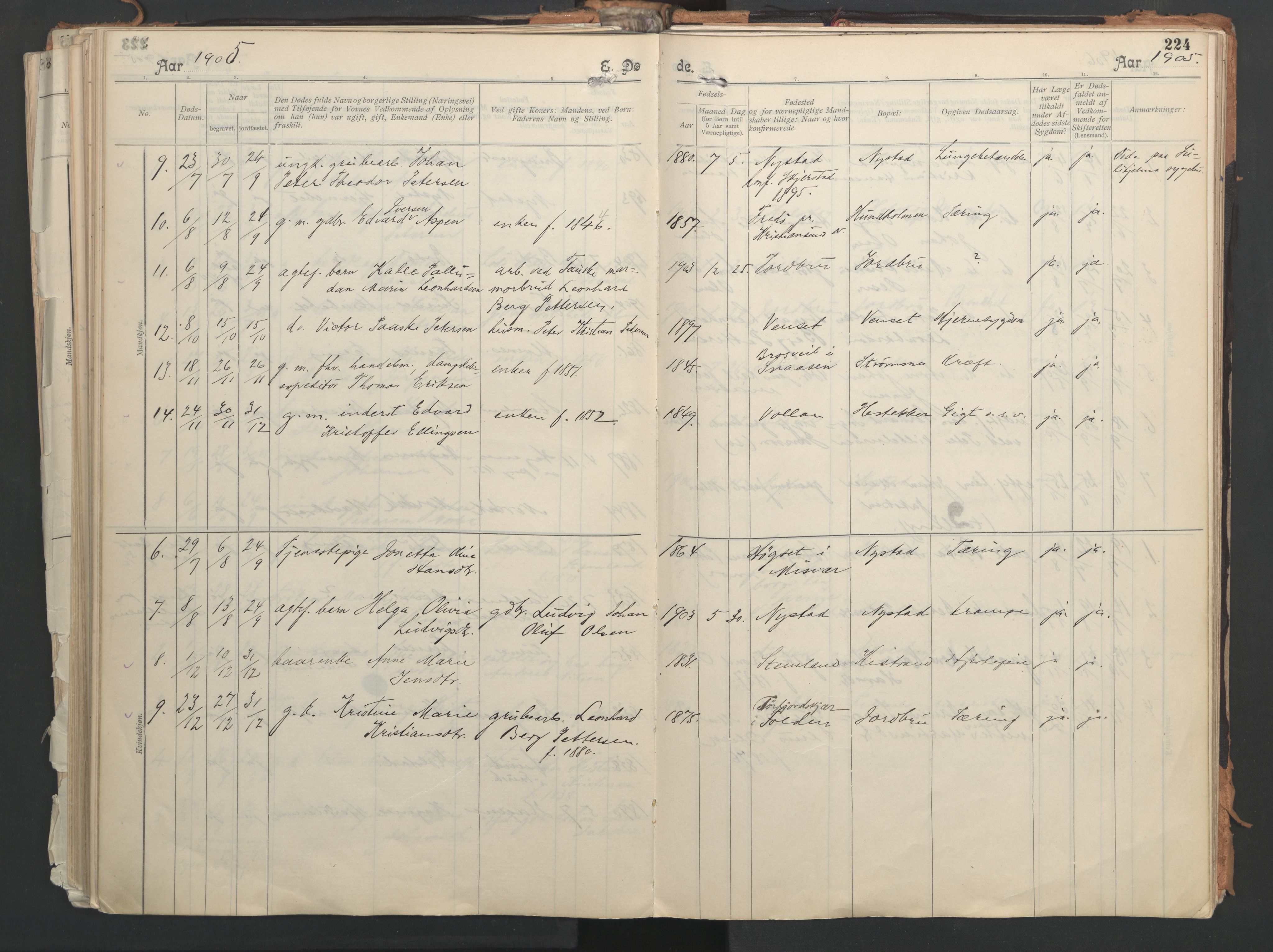 Ministerialprotokoller, klokkerbøker og fødselsregistre - Nordland, AV/SAT-A-1459/851/L0724: Parish register (official) no. 851A01, 1901-1922, p. 224