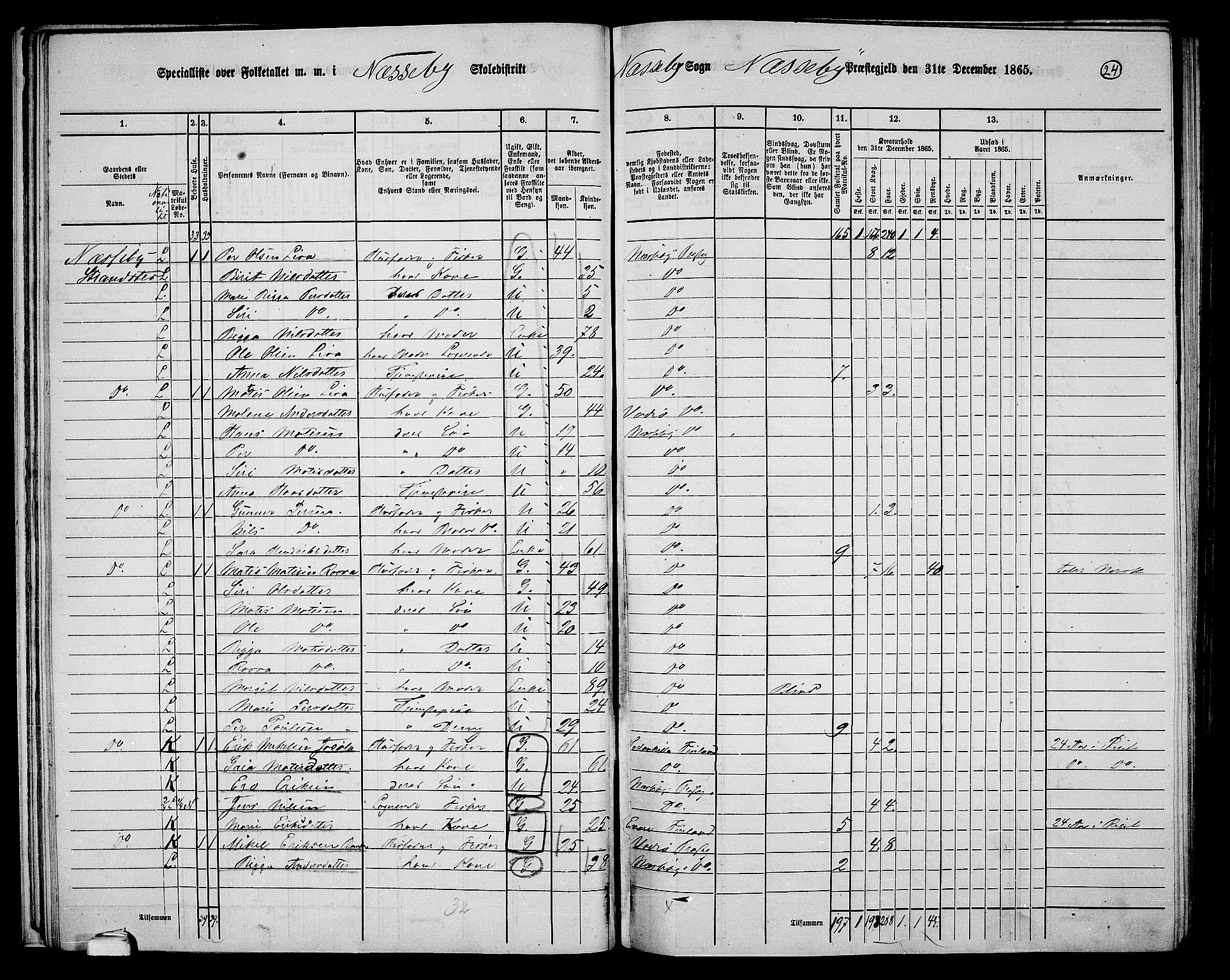 RA, 1865 census for Nesseby, 1865, p. 20