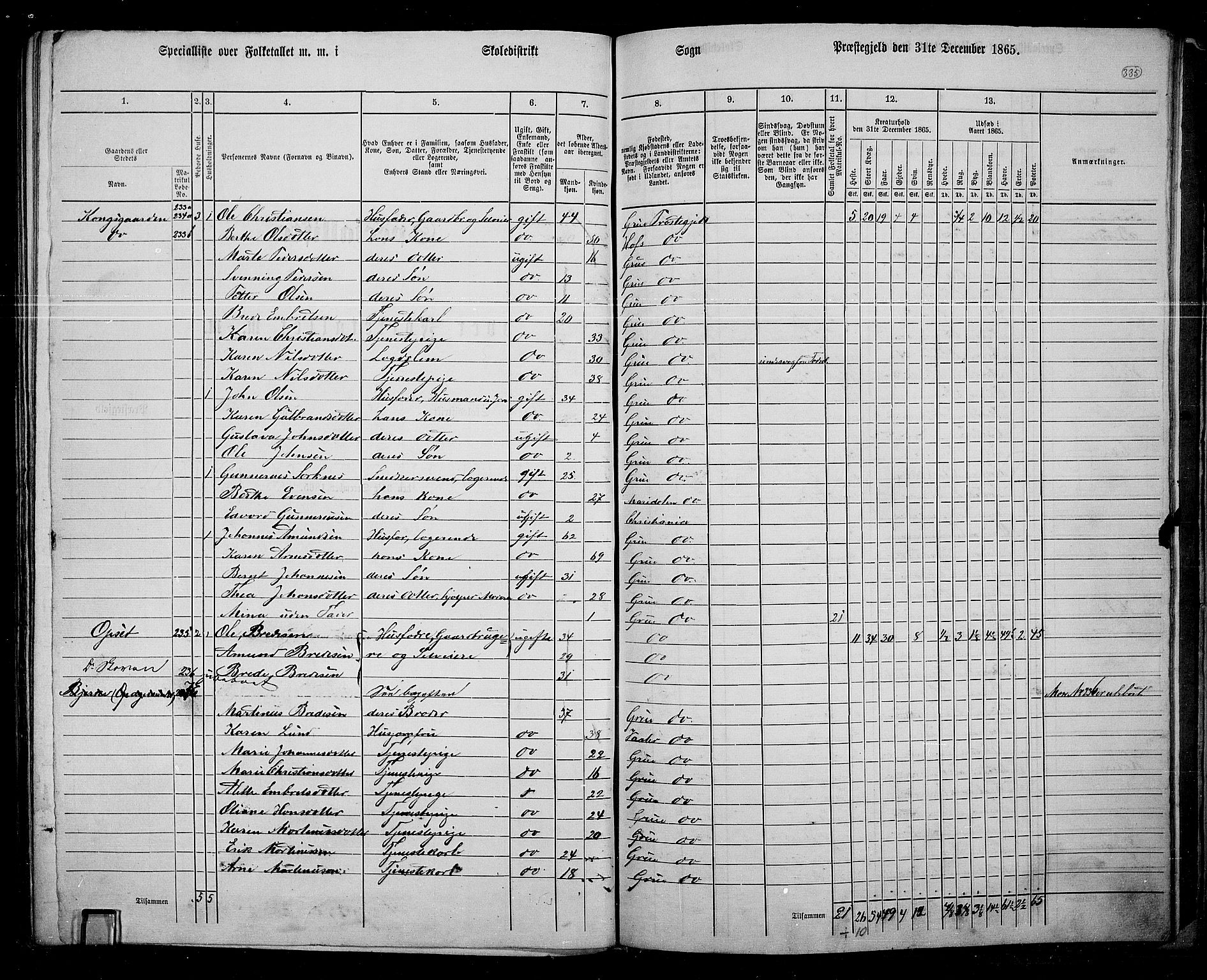 RA, 1865 census for Grue, 1865, p. 293