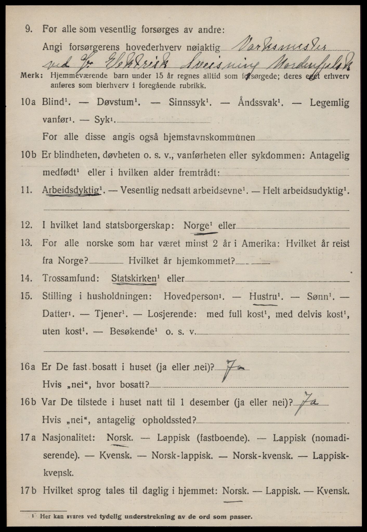 SAT, 1920 census for Strinda, 1920, p. 6735