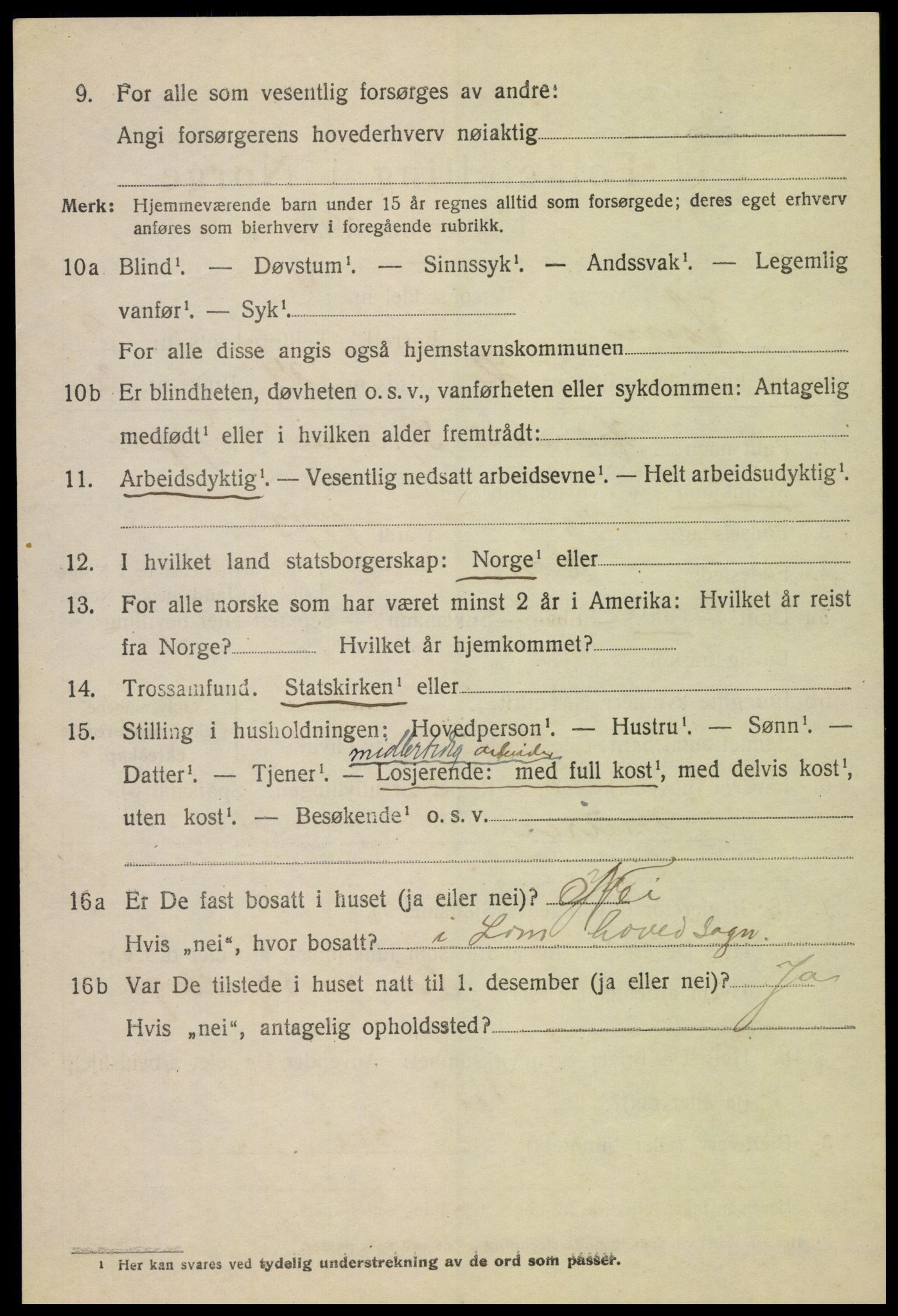 SAH, 1920 census for Lom, 1920, p. 5091