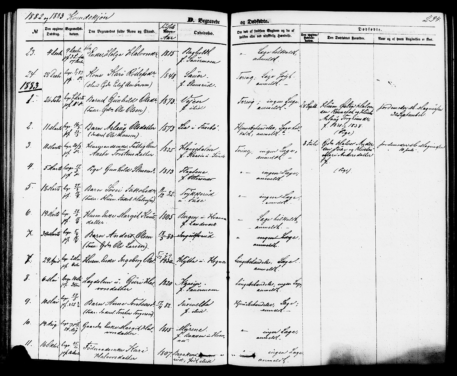 Sauherad kirkebøker, SAKO/A-298/F/Fa/L0008: Parish register (official) no. I 8, 1873-1886, p. 234