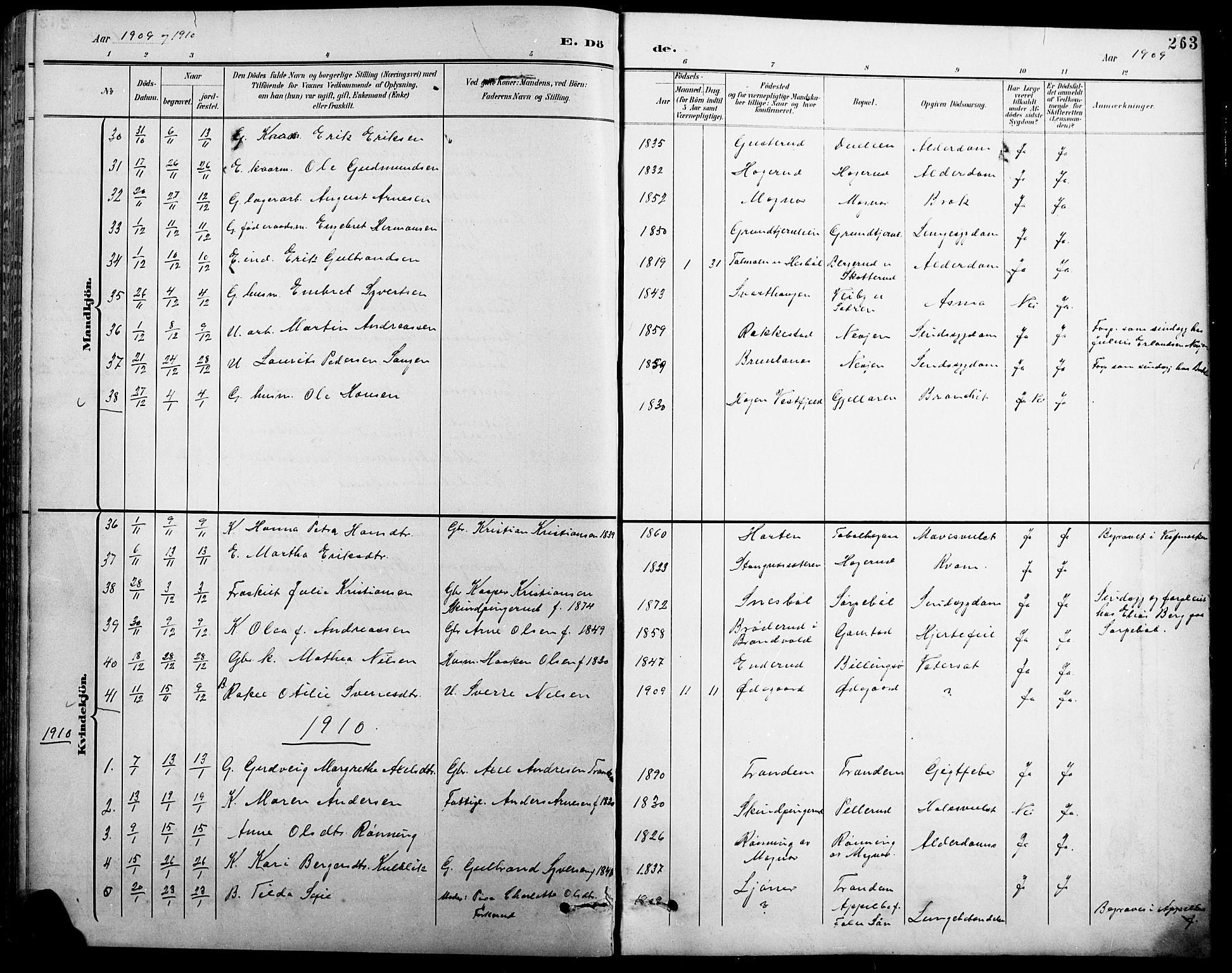 Eidskog prestekontor, AV/SAH-PREST-026/H/Ha/Hab/L0001: Parish register (copy) no. 1, 1895-1917, p. 263