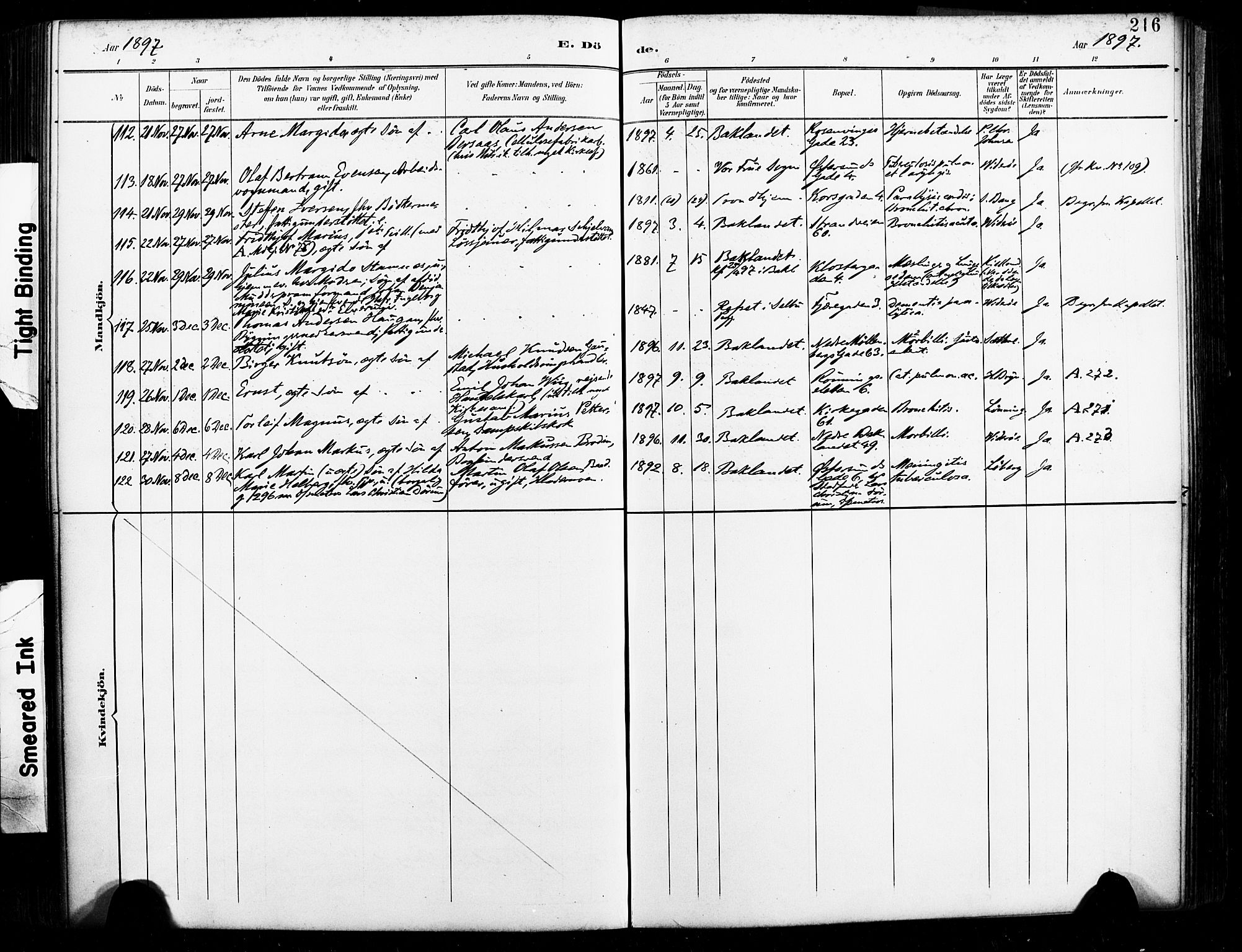 Ministerialprotokoller, klokkerbøker og fødselsregistre - Sør-Trøndelag, AV/SAT-A-1456/604/L0198: Parish register (official) no. 604A19, 1893-1900, p. 216