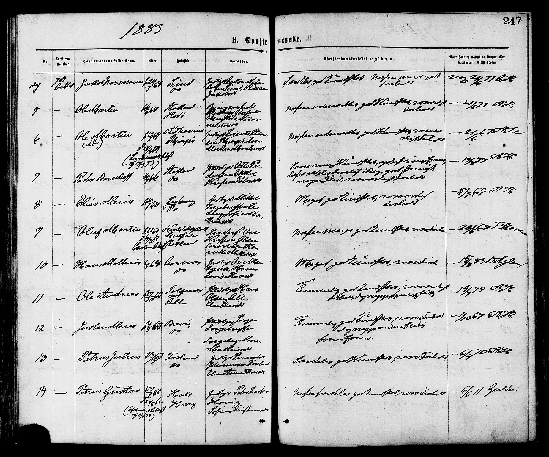 Ministerialprotokoller, klokkerbøker og fødselsregistre - Nord-Trøndelag, AV/SAT-A-1458/773/L0616: Parish register (official) no. 773A07, 1870-1887, p. 247