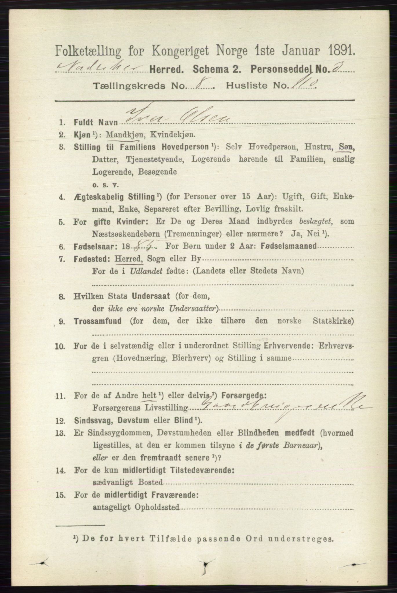 RA, 1891 census for 0613 Norderhov, 1891, p. 6176