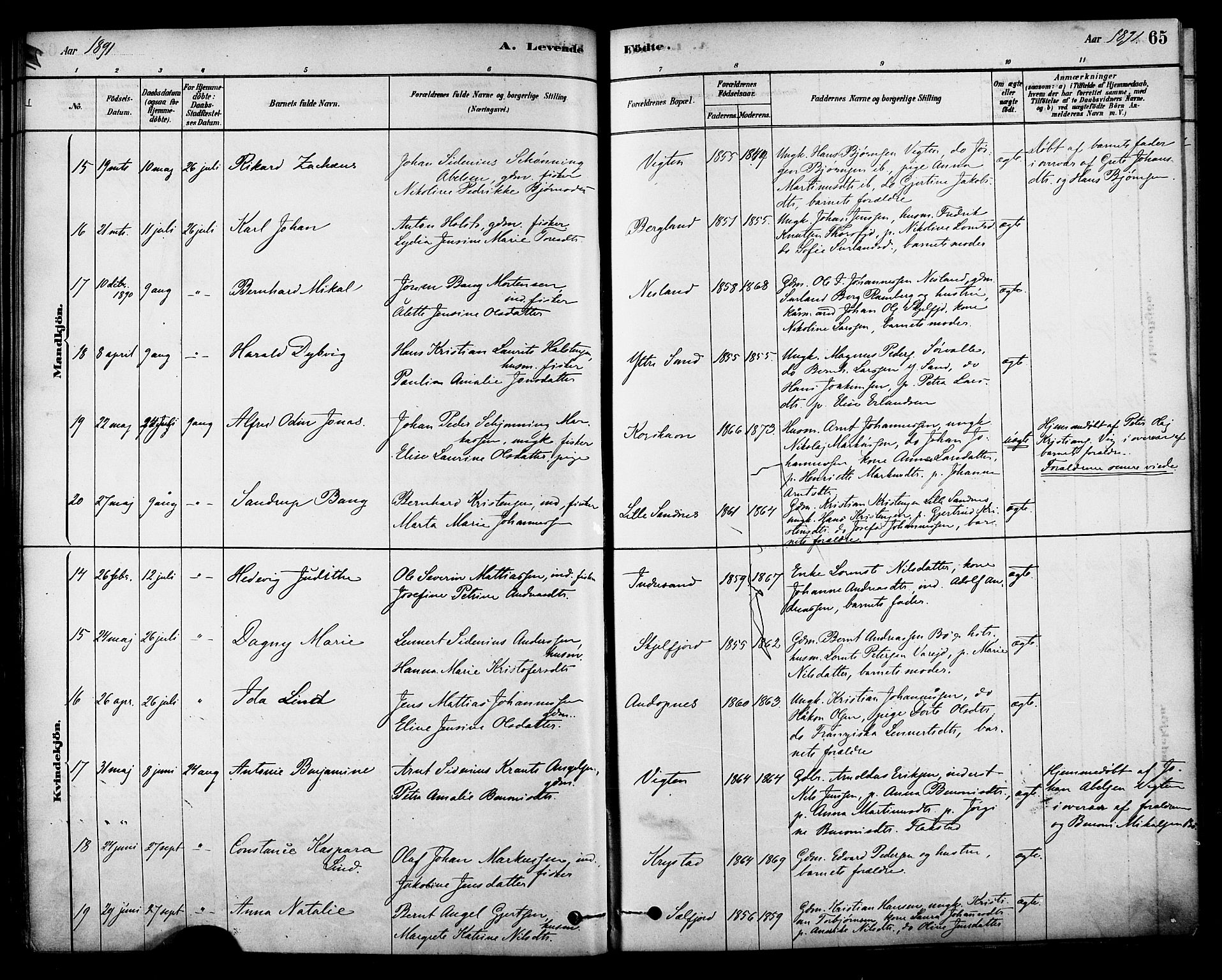 Ministerialprotokoller, klokkerbøker og fødselsregistre - Nordland, AV/SAT-A-1459/885/L1204: Parish register (official) no. 885A05, 1878-1892, p. 65