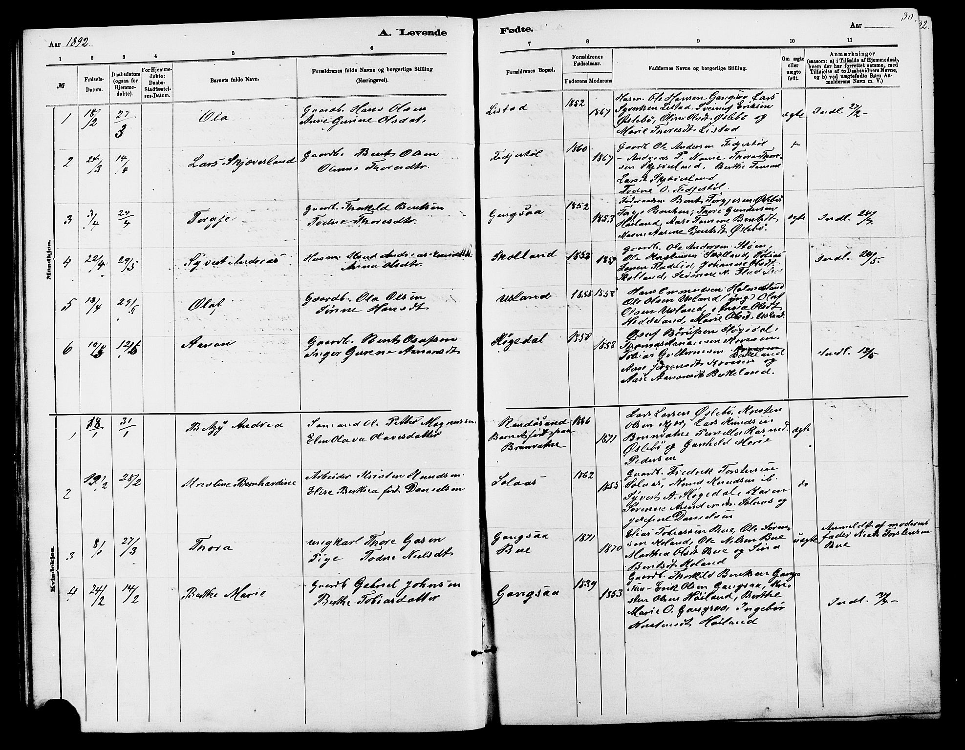 Holum sokneprestkontor, SAK/1111-0022/F/Fb/Fbc/L0003: Parish register (copy) no. B 3, 1882-1908, p. 30