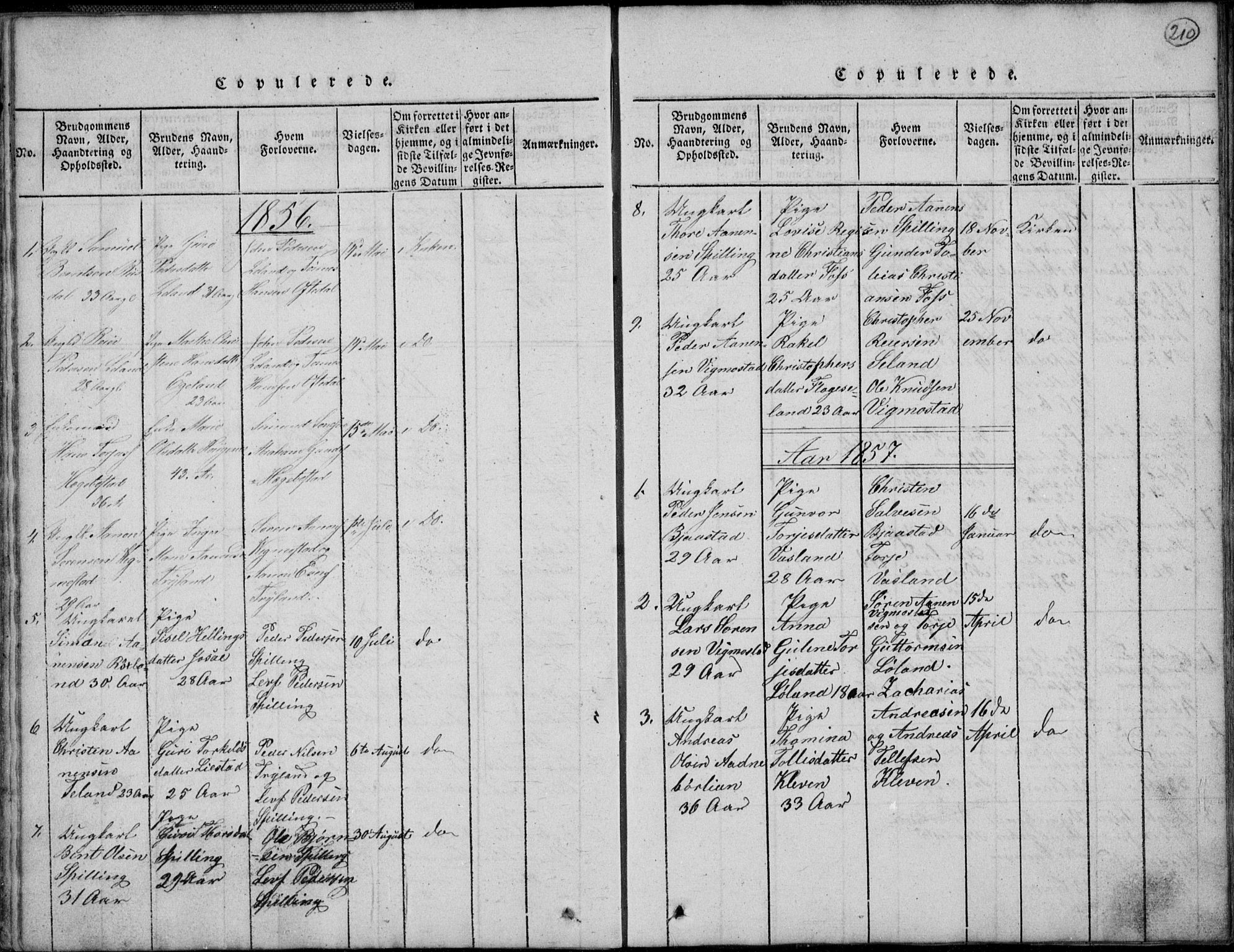 Nord-Audnedal sokneprestkontor, AV/SAK-1111-0032/F/Fb/Fbb/L0001: Parish register (copy) no. B 1, 1816-1858, p. 210