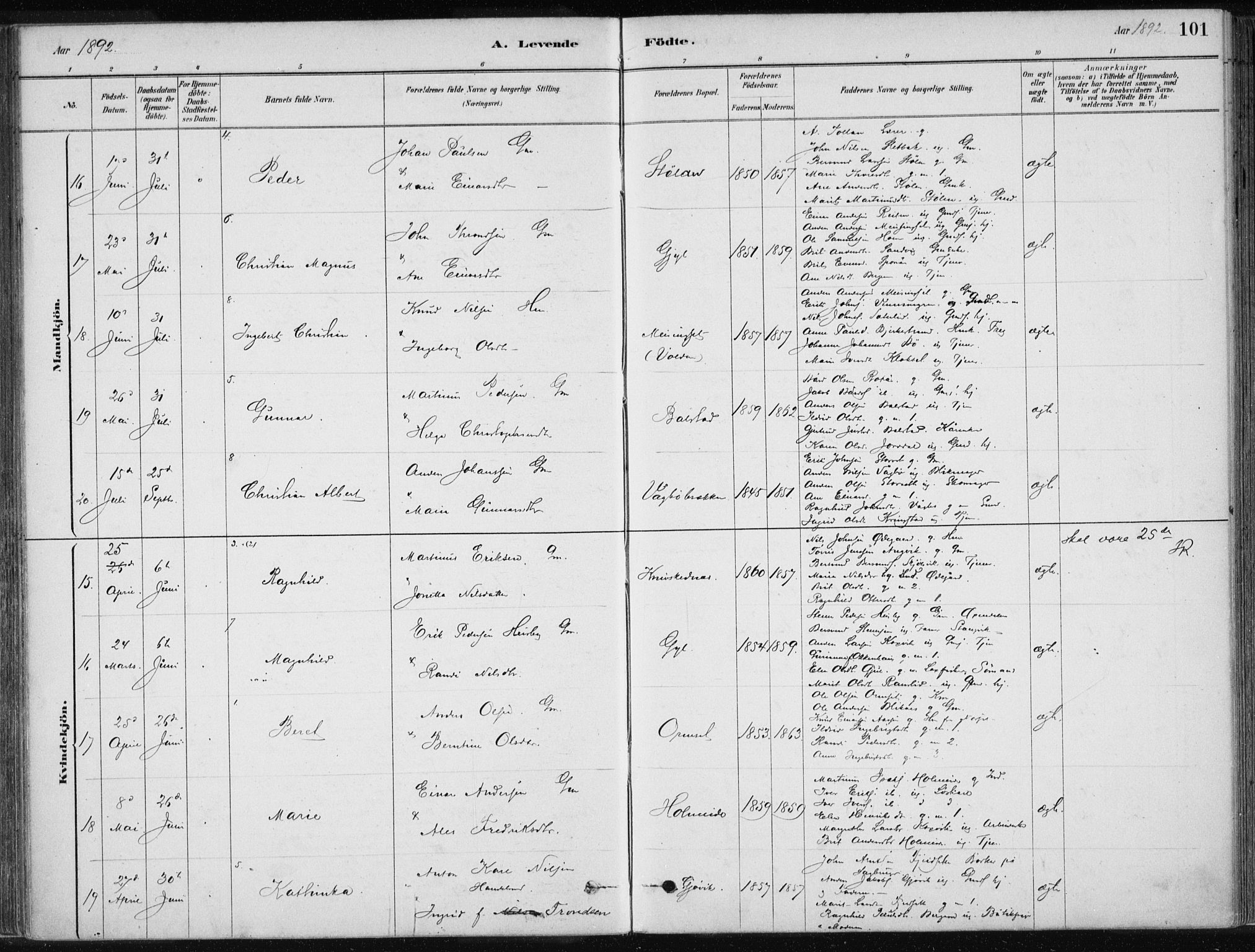 Ministerialprotokoller, klokkerbøker og fødselsregistre - Møre og Romsdal, AV/SAT-A-1454/586/L0987: Parish register (official) no. 586A13, 1879-1892, p. 101