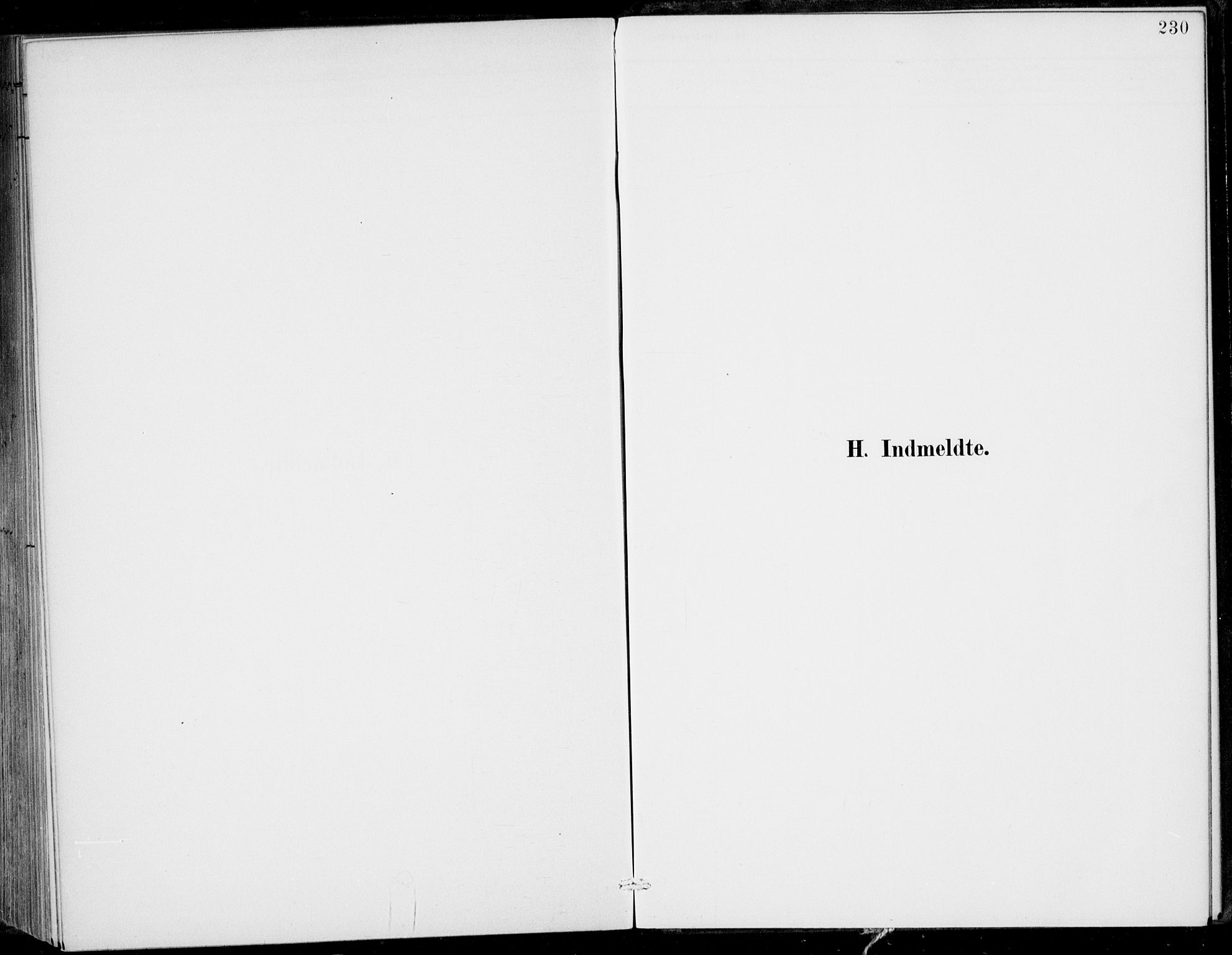 Gulen sokneprestembete, SAB/A-80201/H/Haa/Haac/L0002: Parish register (official) no. C  2, 1882-1914, p. 230