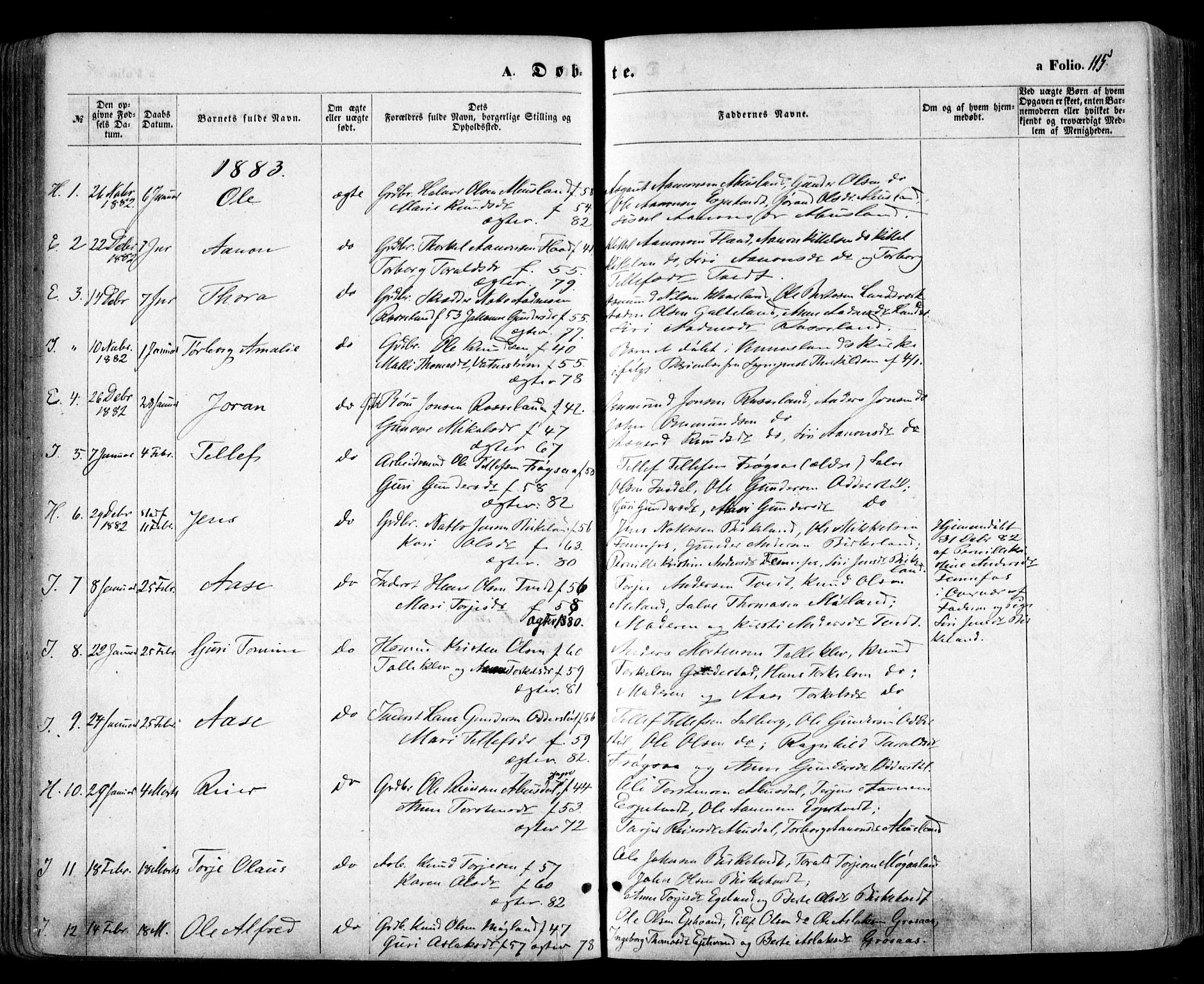 Evje sokneprestkontor, SAK/1111-0008/F/Fa/Faa/L0006: Parish register (official) no. A 6, 1866-1884, p. 115