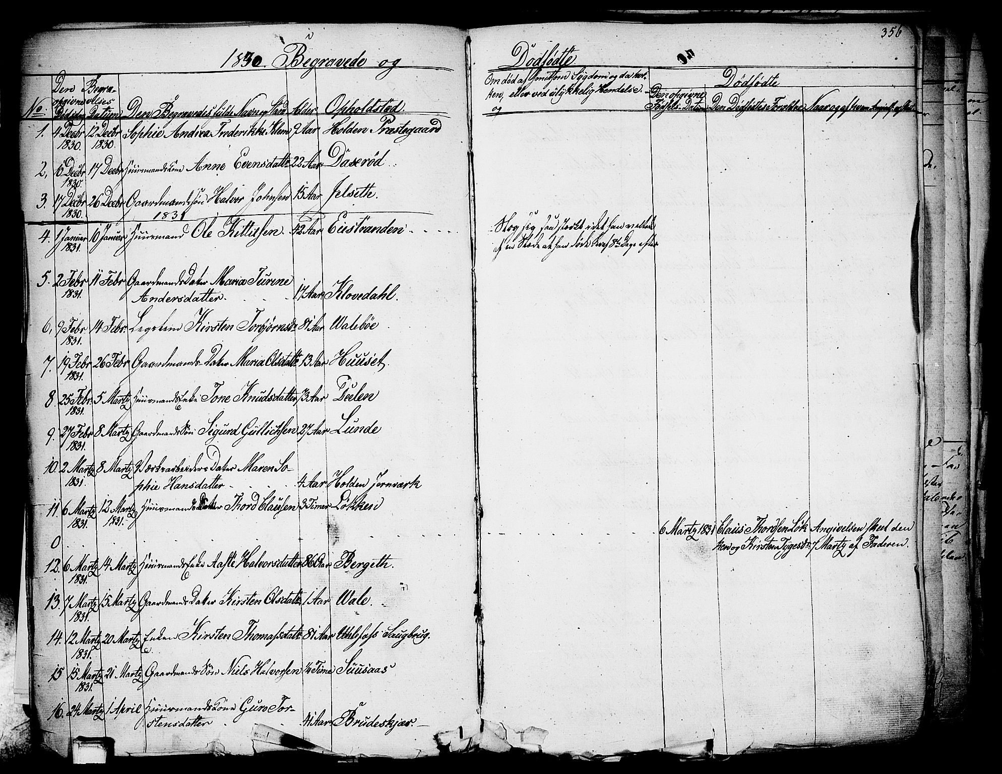 Holla kirkebøker, SAKO/A-272/F/Fa/L0004: Parish register (official) no. 4, 1830-1848, p. 356
