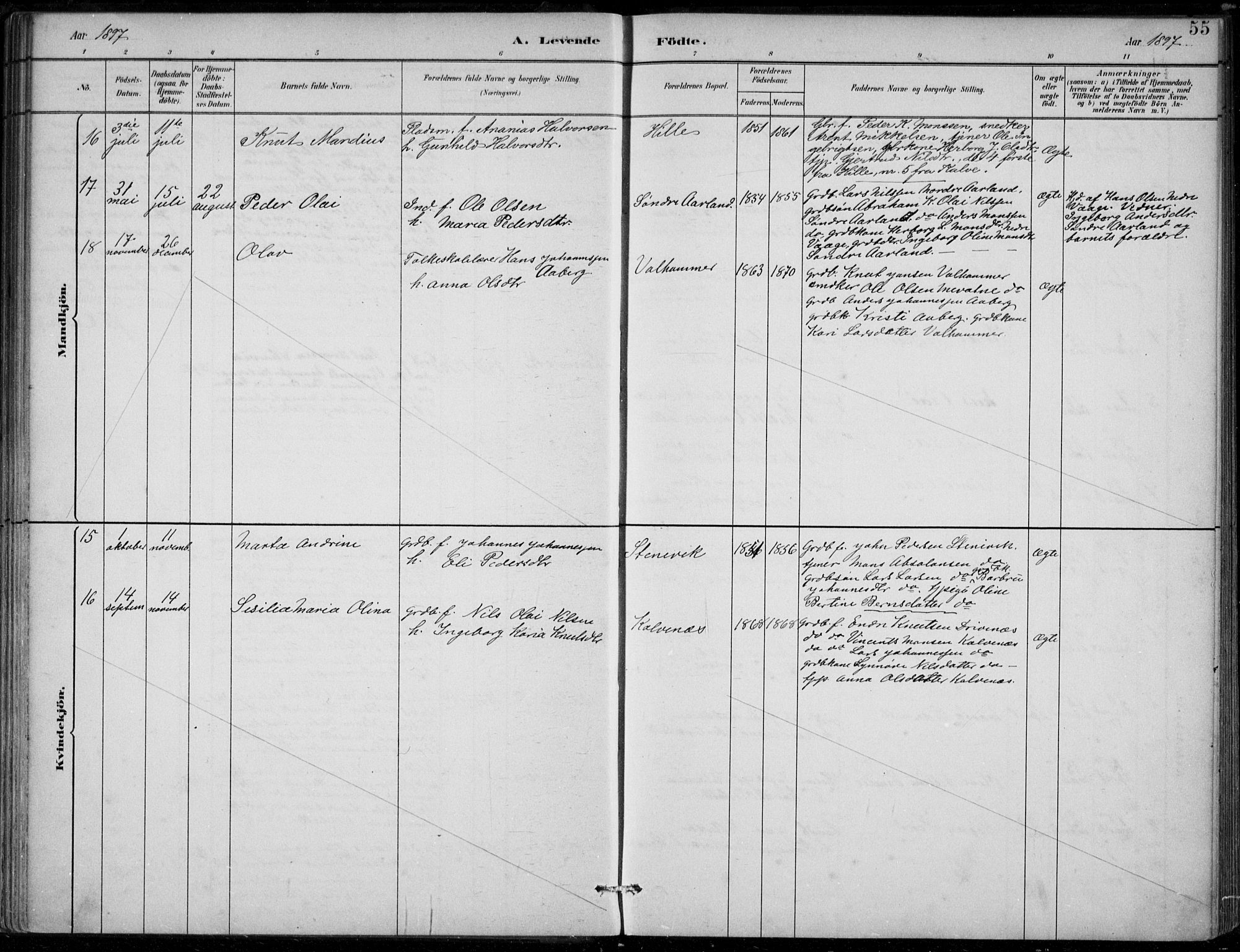 Sund sokneprestembete, AV/SAB-A-99930: Parish register (official) no. D 1, 1882-1899, p. 55