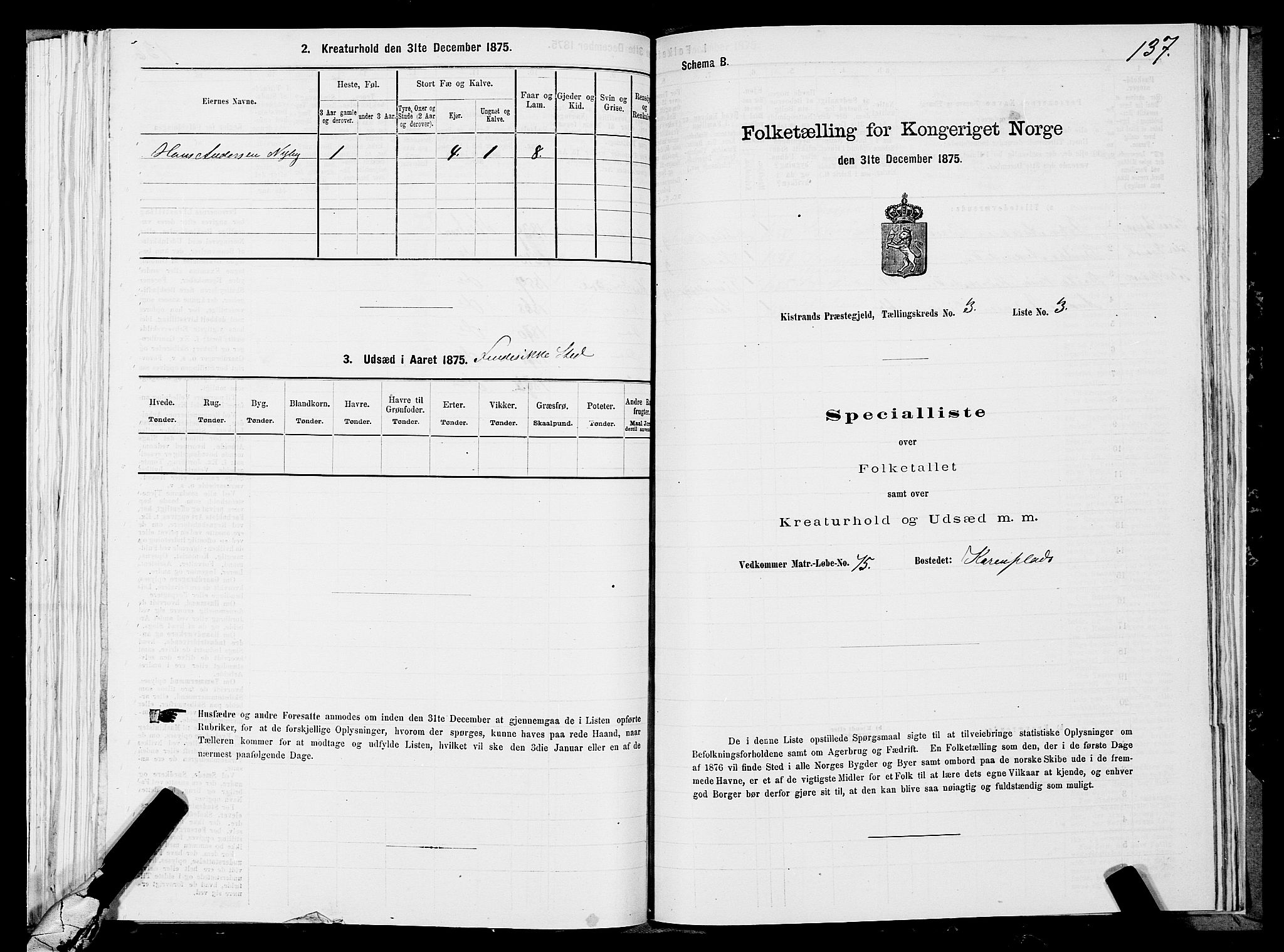 SATØ, 1875 census for 2020P Kistrand, 1875, p. 1137