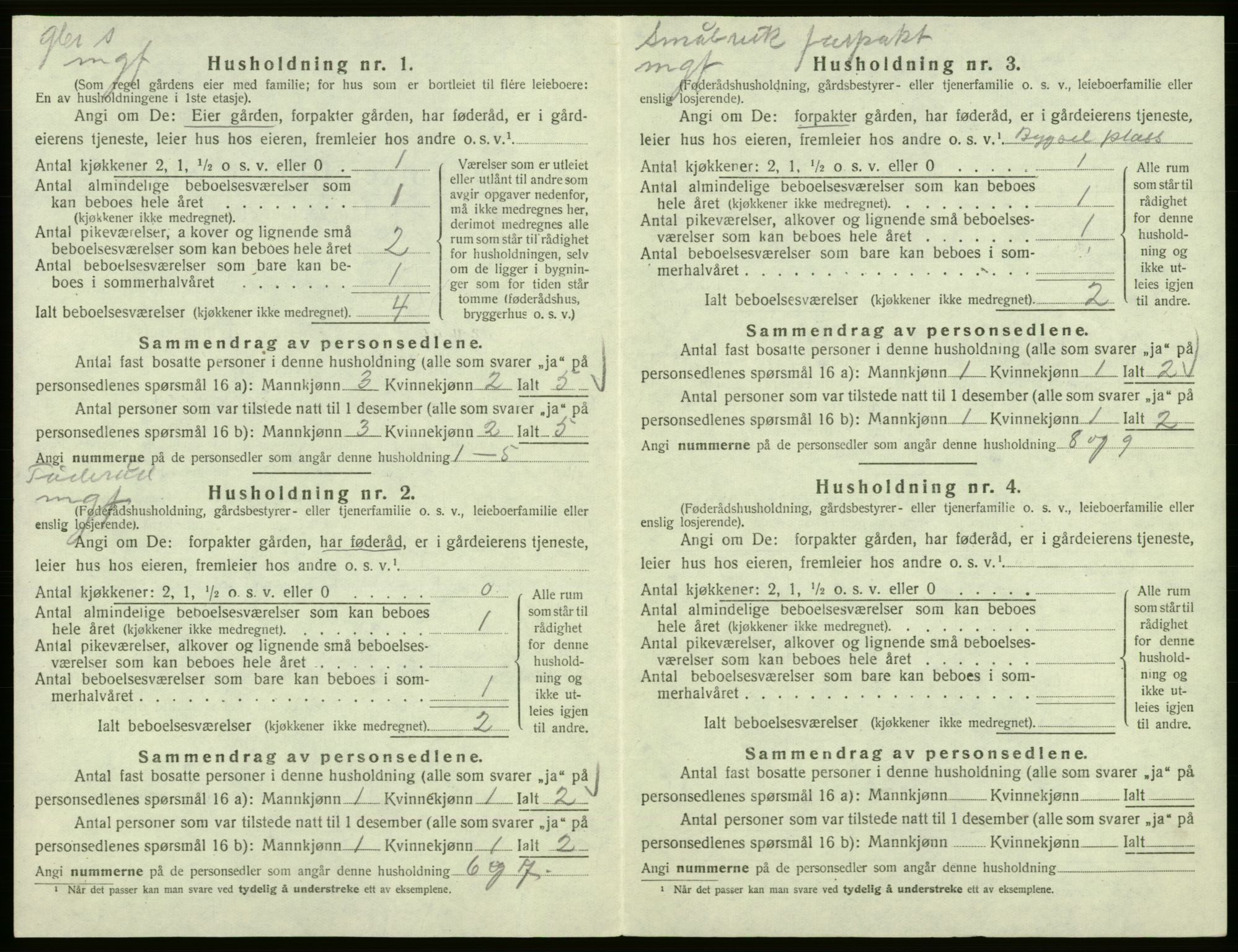 SAB, 1920 census for Hålandsdal, 1920, p. 141