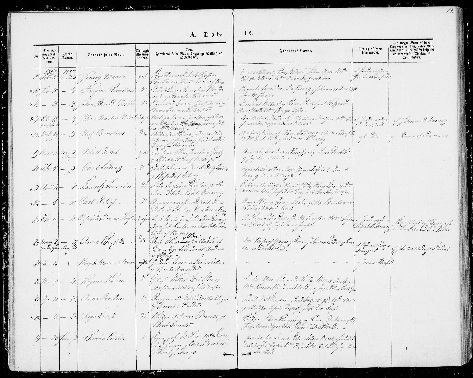 Ministerialprotokoller, klokkerbøker og fødselsregistre - Møre og Romsdal, AV/SAT-A-1454/529/L0451: Parish register (official) no. 529A01, 1855-1863, p. 13