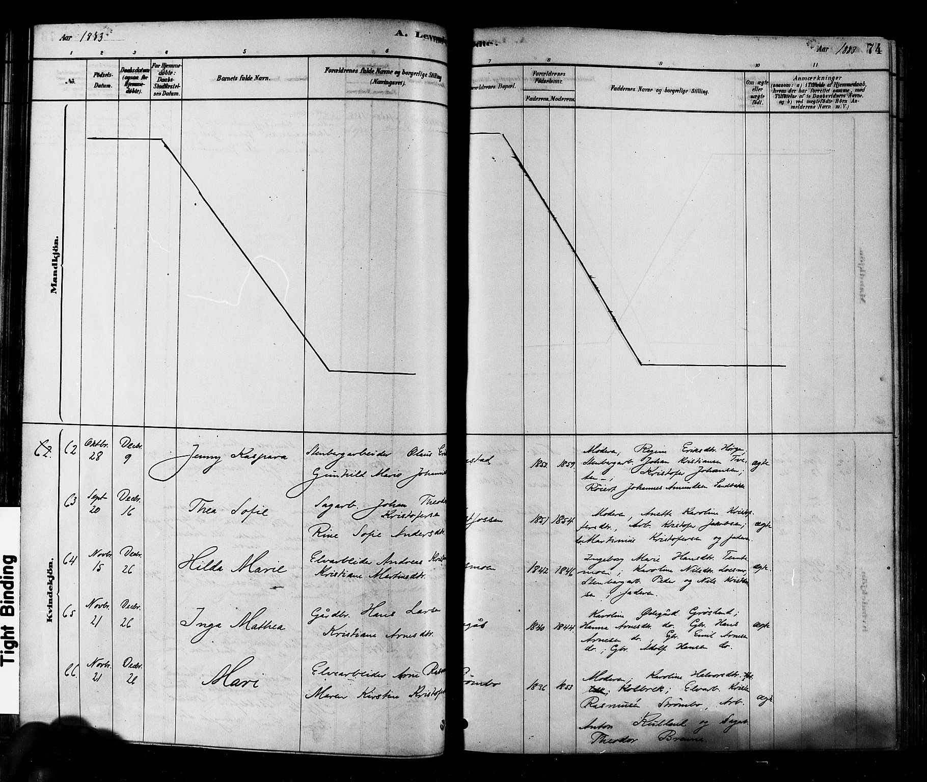 Eiker kirkebøker, AV/SAKO-A-4/F/Fb/L0001: Parish register (official) no. II 1, 1878-1888, p. 74