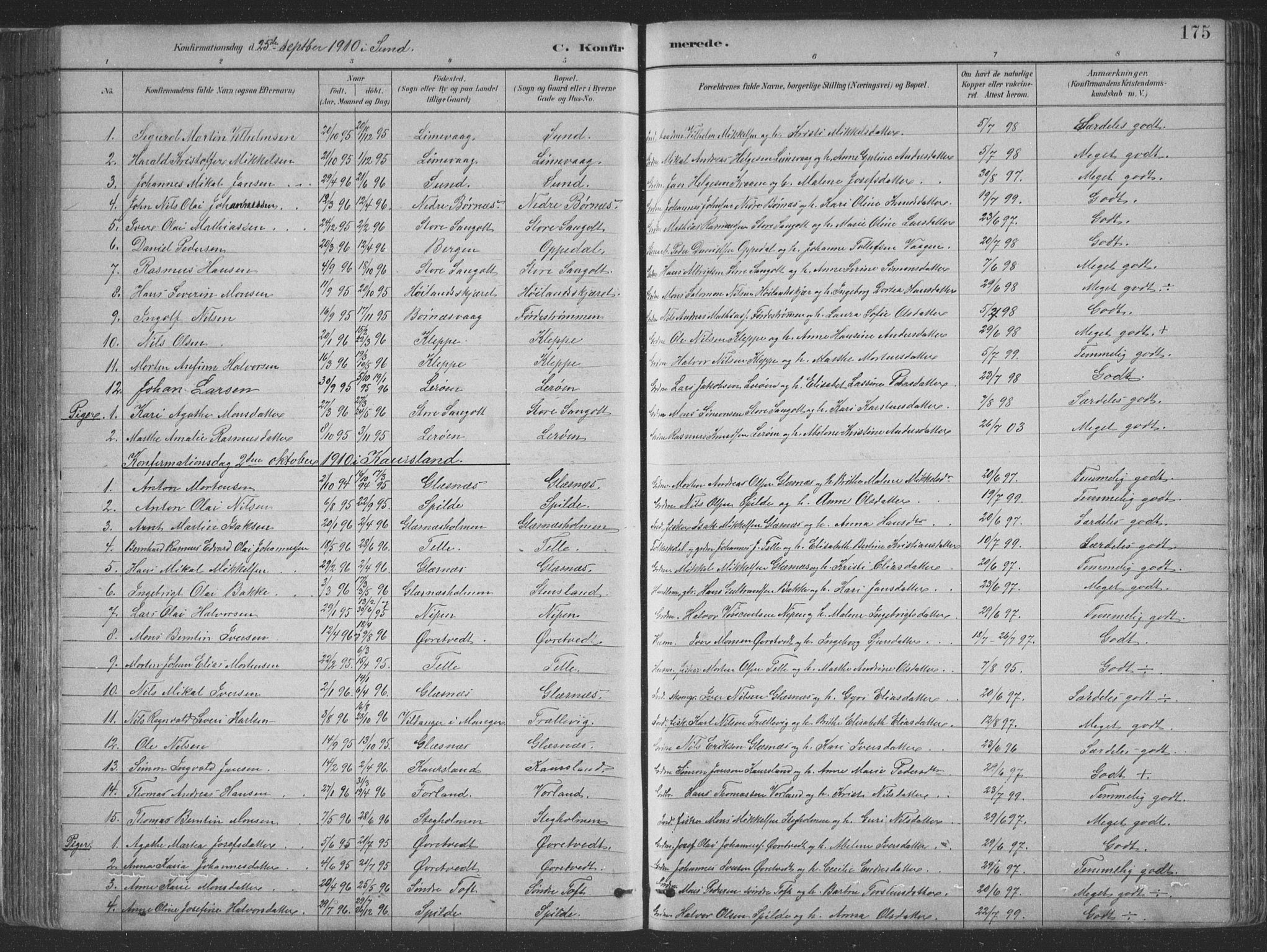 Sund sokneprestembete, SAB/A-99930: Parish register (copy) no. B 3, 1882-1911, p. 175