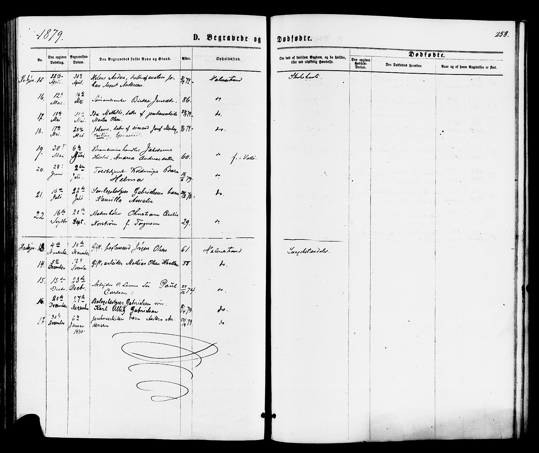 Holmestrand kirkebøker, AV/SAKO-A-346/F/Fa/L0003: Parish register (official) no. 3, 1867-1879, p. 258