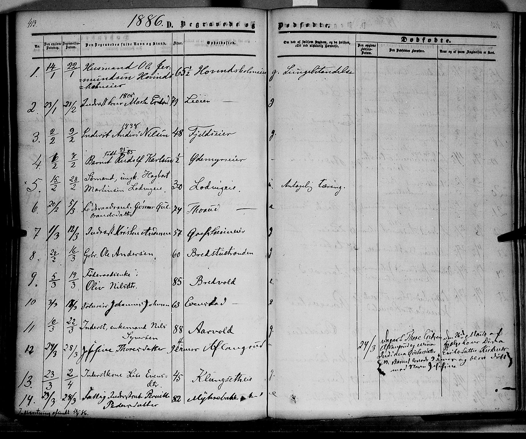 Nes prestekontor, Hedmark, SAH/PREST-020/K/Ka/L0004: Parish register (official) no. 4, 1852-1886, p. 413