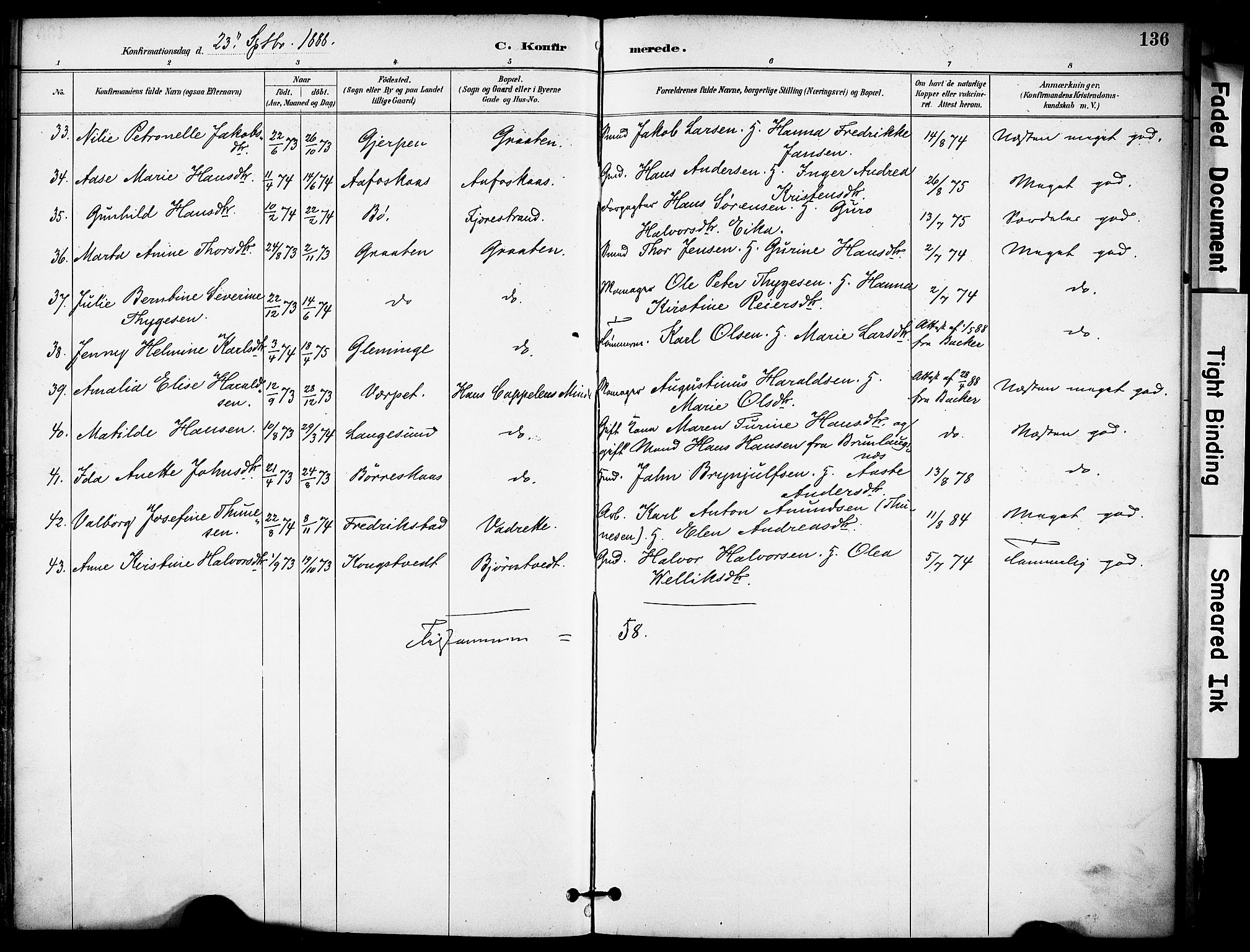Solum kirkebøker, SAKO/A-306/F/Fa/L0010: Parish register (official) no. I 10, 1888-1898, p. 136