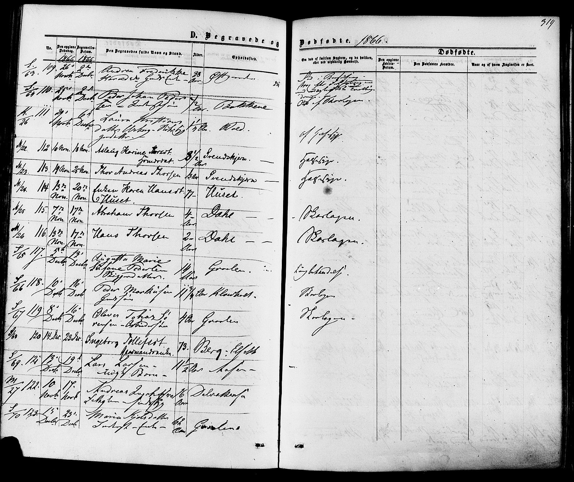 Solum kirkebøker, AV/SAKO-A-306/F/Fa/L0008: Parish register (official) no. I 8, 1865-1876, p. 319