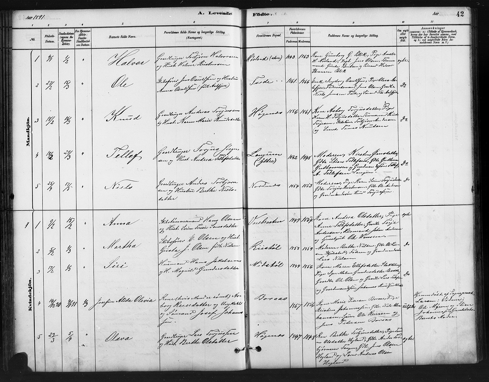 Austre Moland sokneprestkontor, SAK/1111-0001/F/Fb/Fba/L0003: Parish register (copy) no. B 3, 1879-1914, p. 42