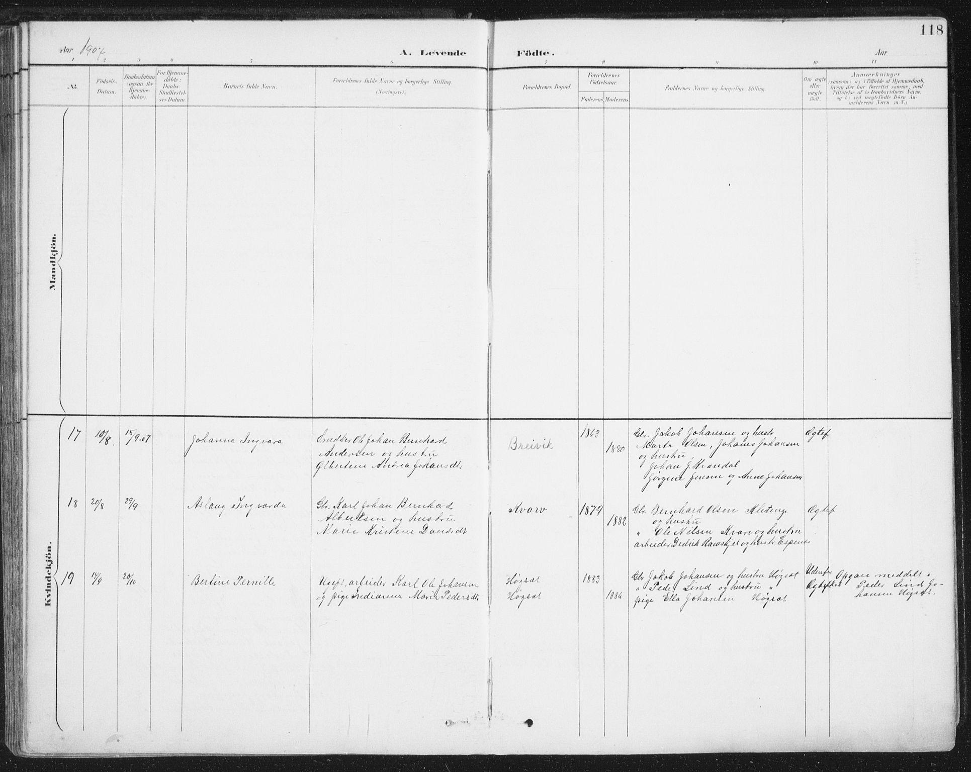 Ministerialprotokoller, klokkerbøker og fødselsregistre - Nordland, AV/SAT-A-1459/852/L0741: Parish register (official) no. 852A11, 1894-1917, p. 118