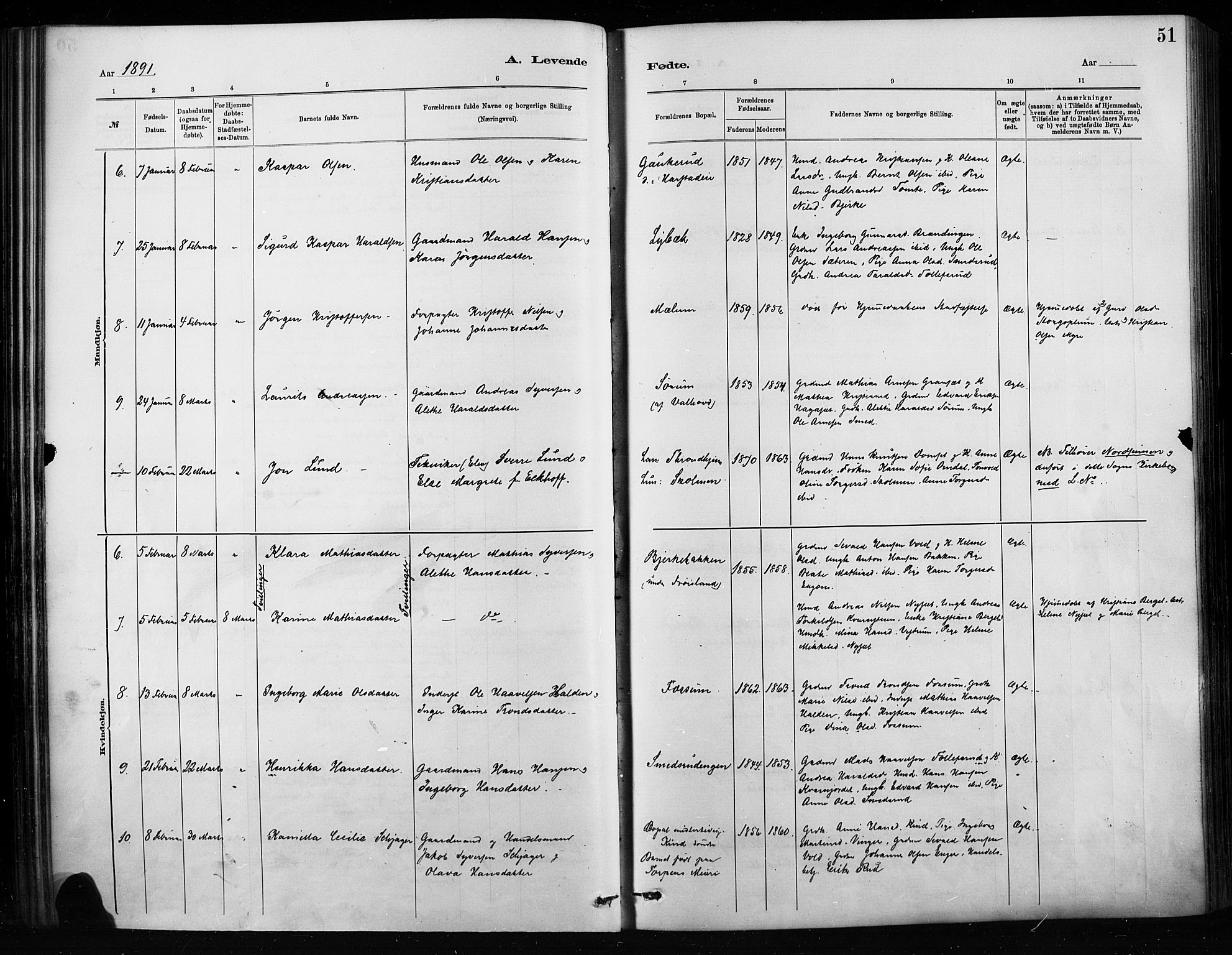 Nordre Land prestekontor, SAH/PREST-124/H/Ha/Haa/L0004: Parish register (official) no. 4, 1882-1896, p. 51
