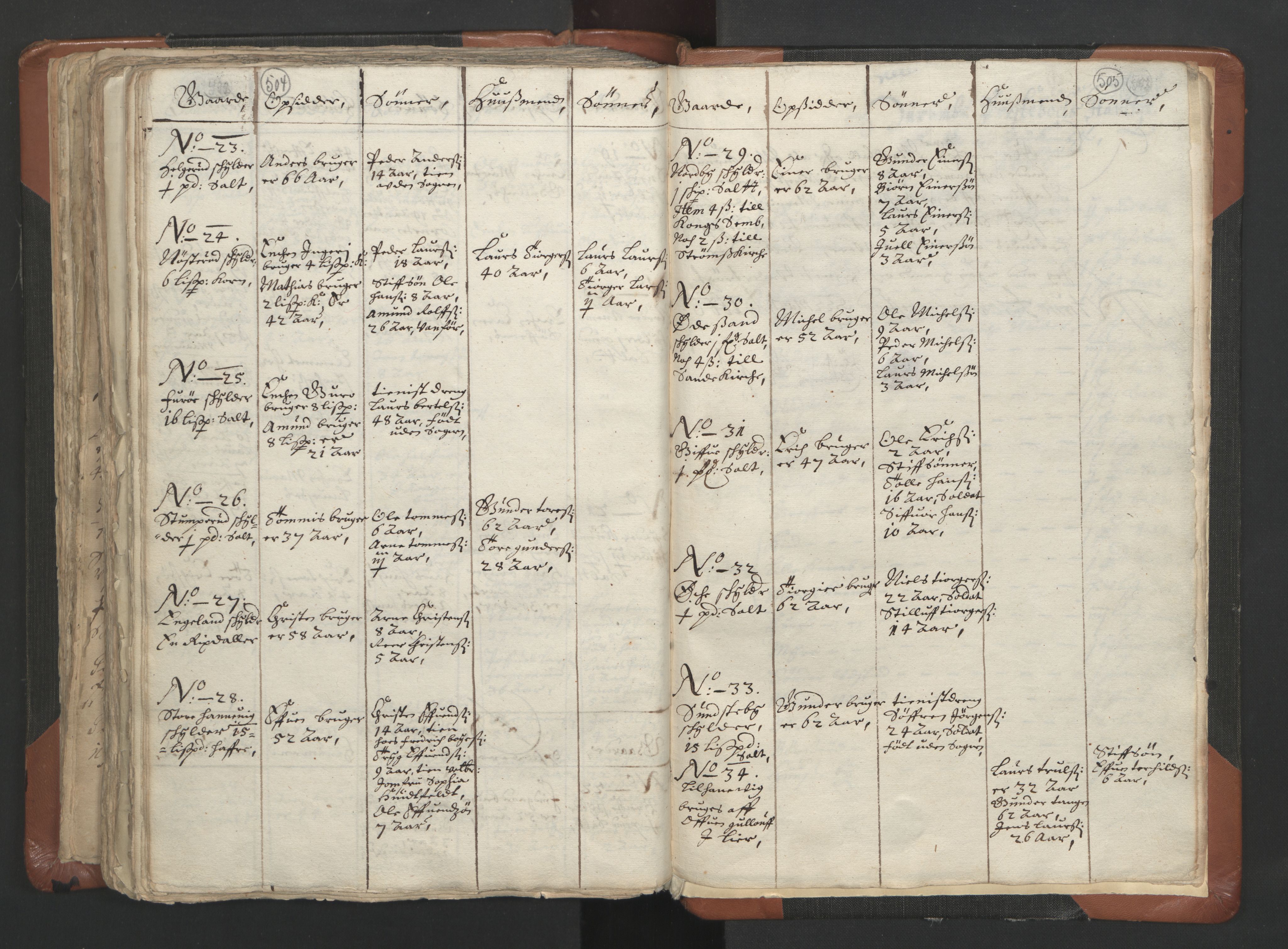 RA, Vicar's Census 1664-1666, no. 9: Bragernes deanery, 1664-1666, p. 504-505