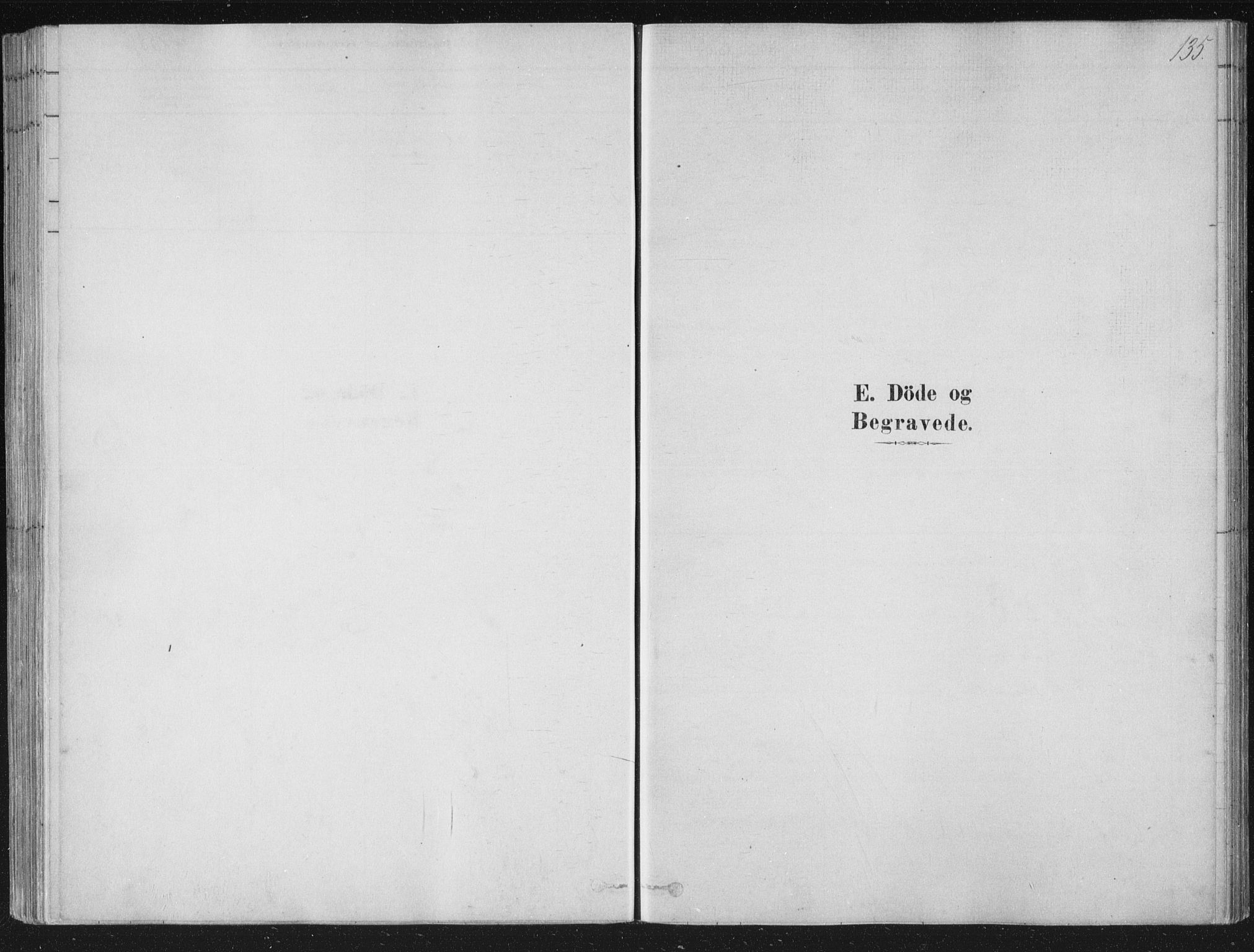 Strømsø kirkebøker, SAKO/A-246/F/Fb/L0005: Parish register (official) no. II 5, 1877-1902, p. 135