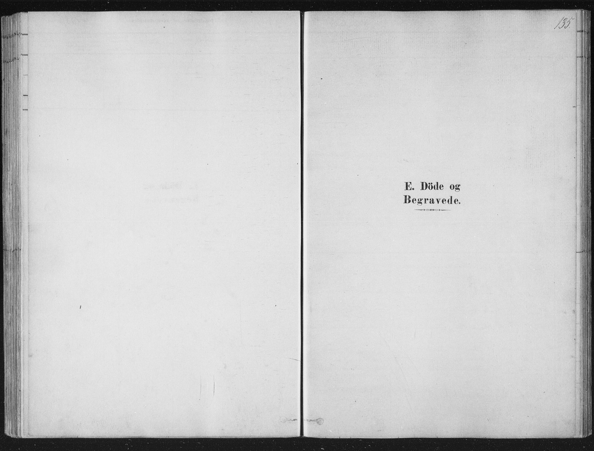 Strømsø kirkebøker, AV/SAKO-A-246/F/Fb/L0005: Parish register (official) no. II 5, 1877-1902, p. 135