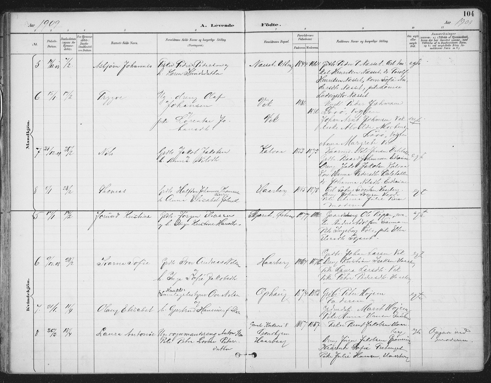Ministerialprotokoller, klokkerbøker og fødselsregistre - Sør-Trøndelag, SAT/A-1456/659/L0743: Parish register (official) no. 659A13, 1893-1910, p. 104