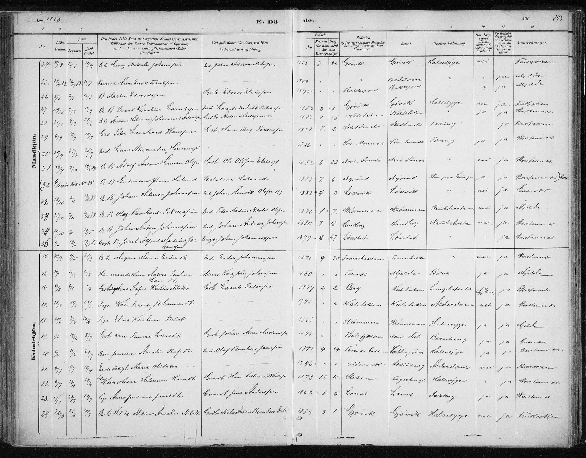 Tromsøysund sokneprestkontor, SATØ/S-1304/G/Ga/L0004kirke: Parish register (official) no. 4, 1880-1888, p. 243