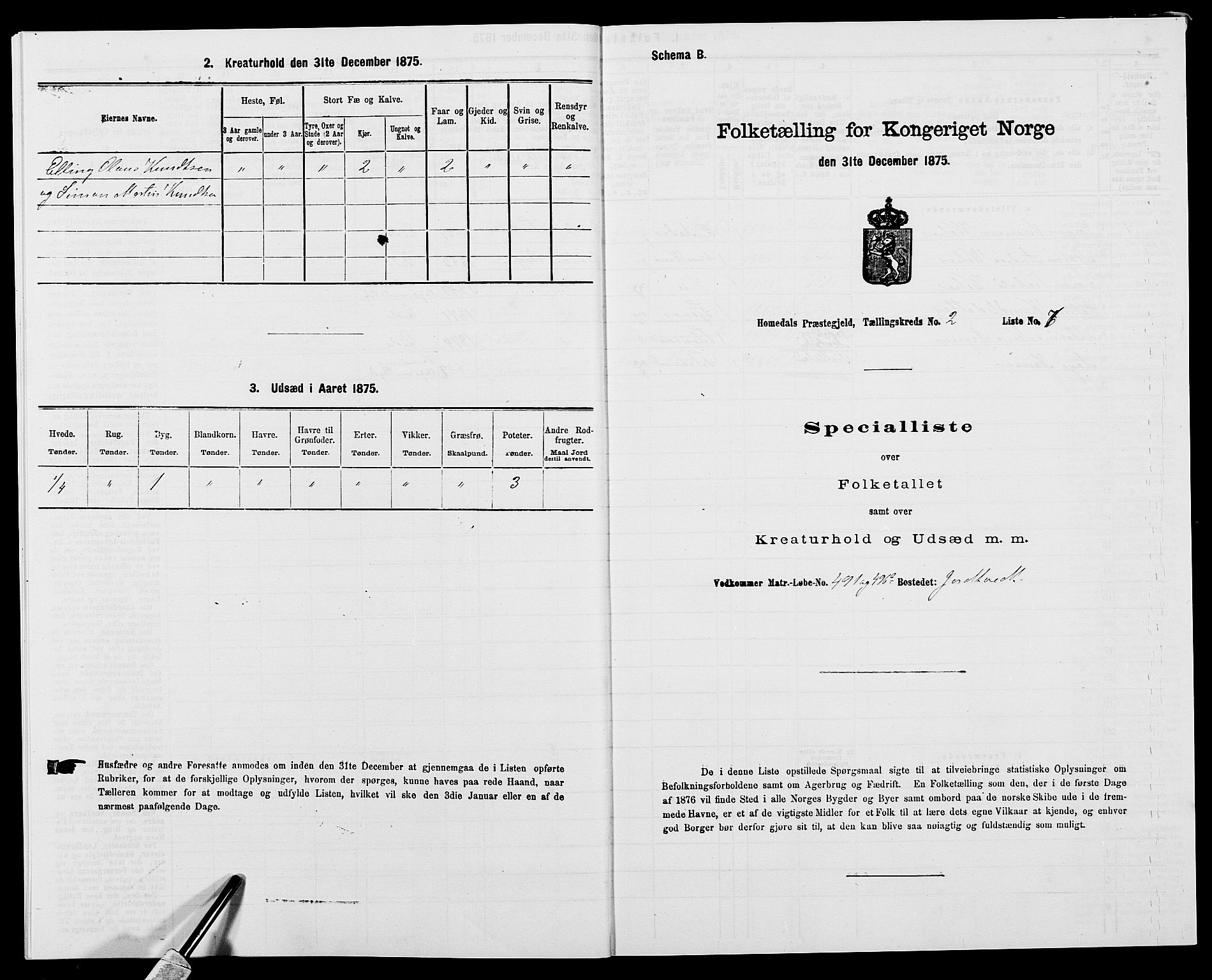 SAK, 1875 census for 0924P Homedal, 1875, p. 140