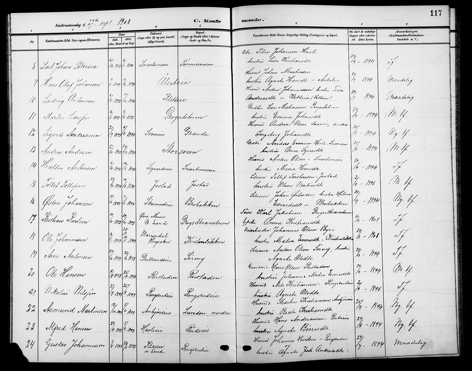 Biri prestekontor, SAH/PREST-096/H/Ha/Hab/L0005: Parish register (copy) no. 5, 1906-1919, p. 117