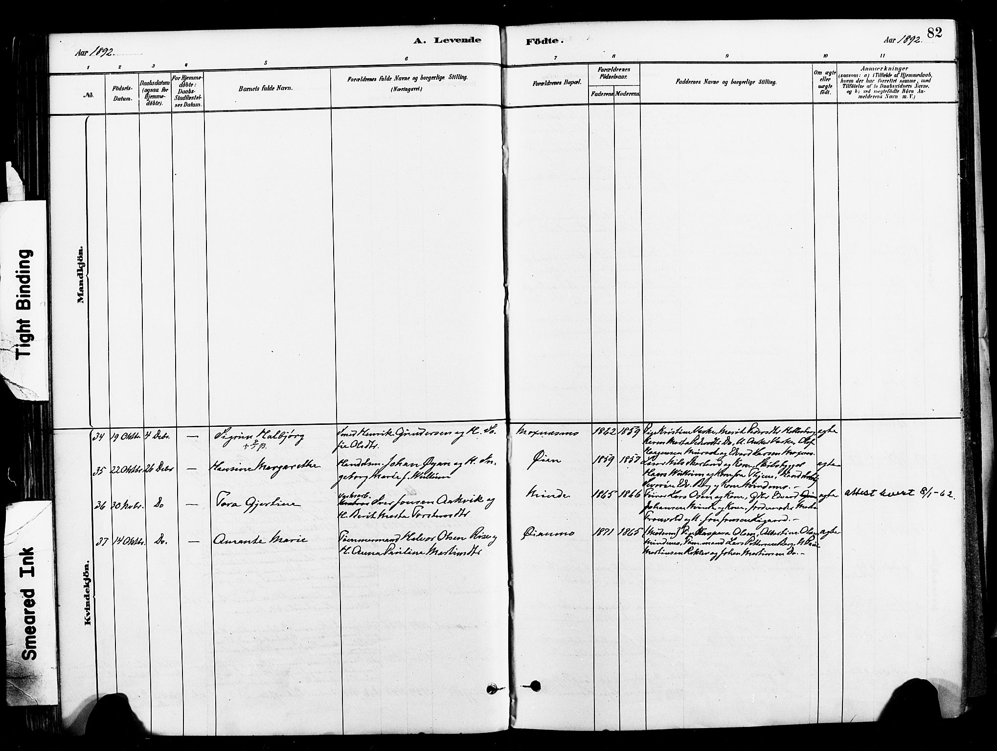 Ministerialprotokoller, klokkerbøker og fødselsregistre - Nord-Trøndelag, SAT/A-1458/709/L0077: Parish register (official) no. 709A17, 1880-1895, p. 82