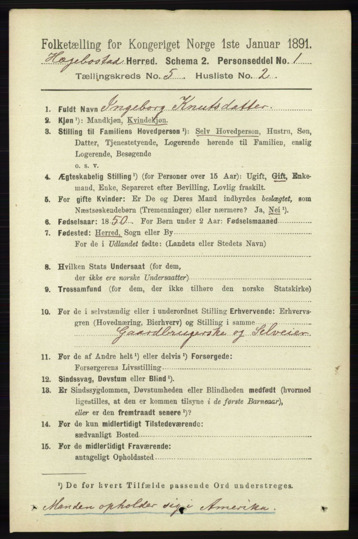 RA, 1891 census for 1034 Hægebostad, 1891, p. 1494